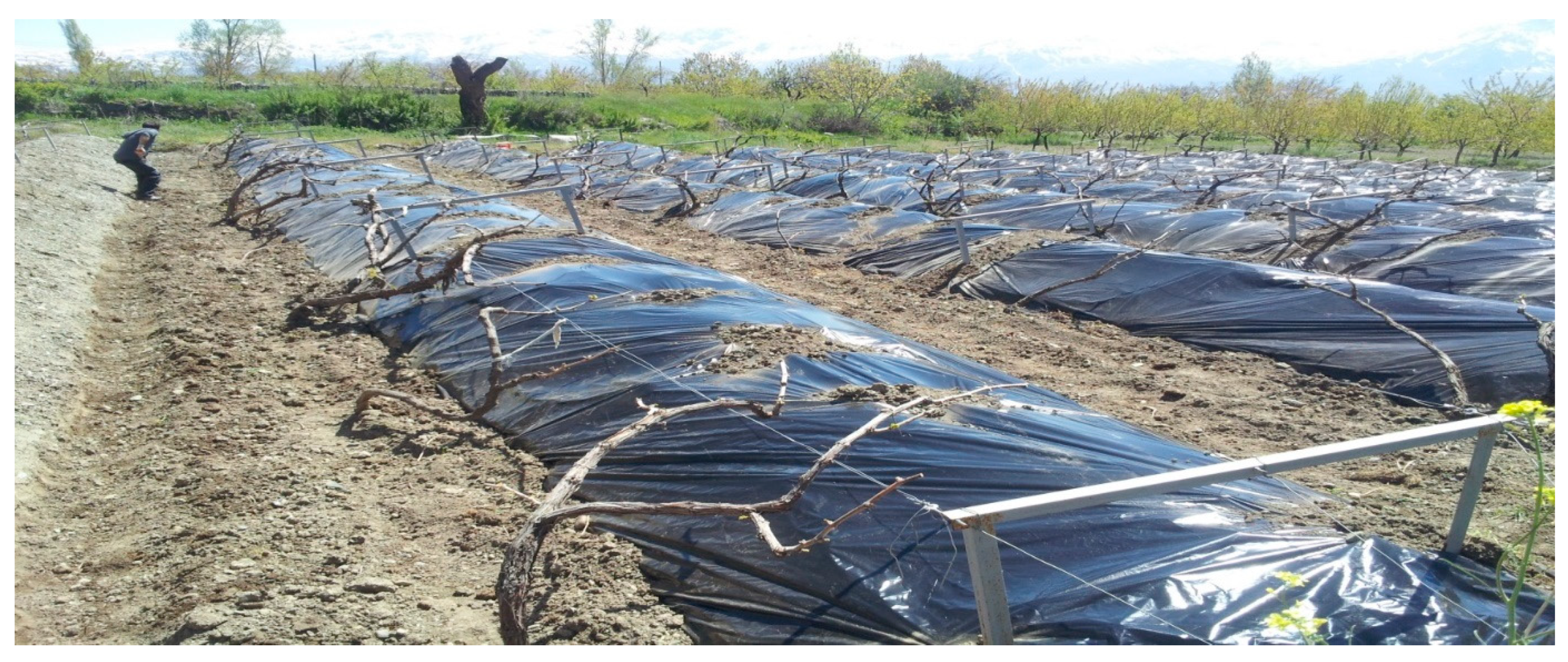 Sustainability 13 10236 g003 Sustainability 13 10236 g003