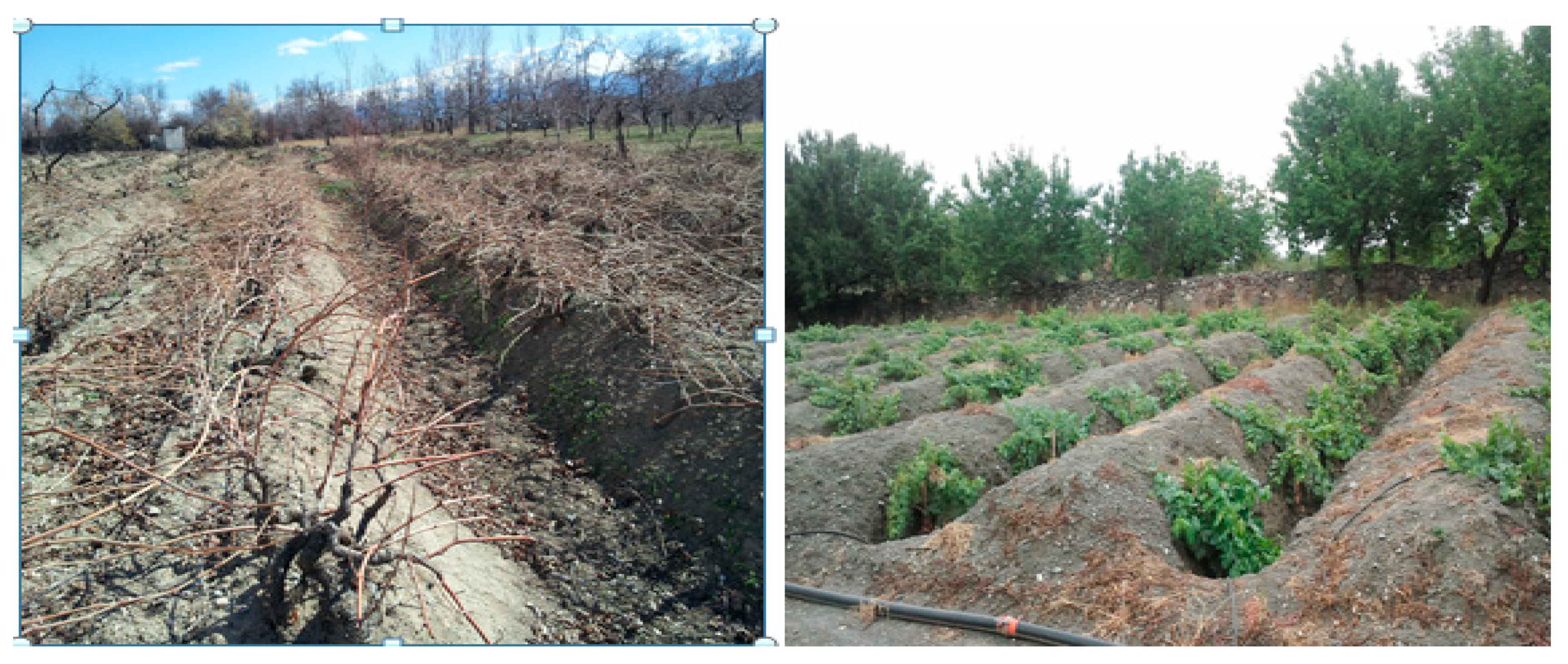 Sustainability 13 10236 g004 Sustainability 13 10236 g004