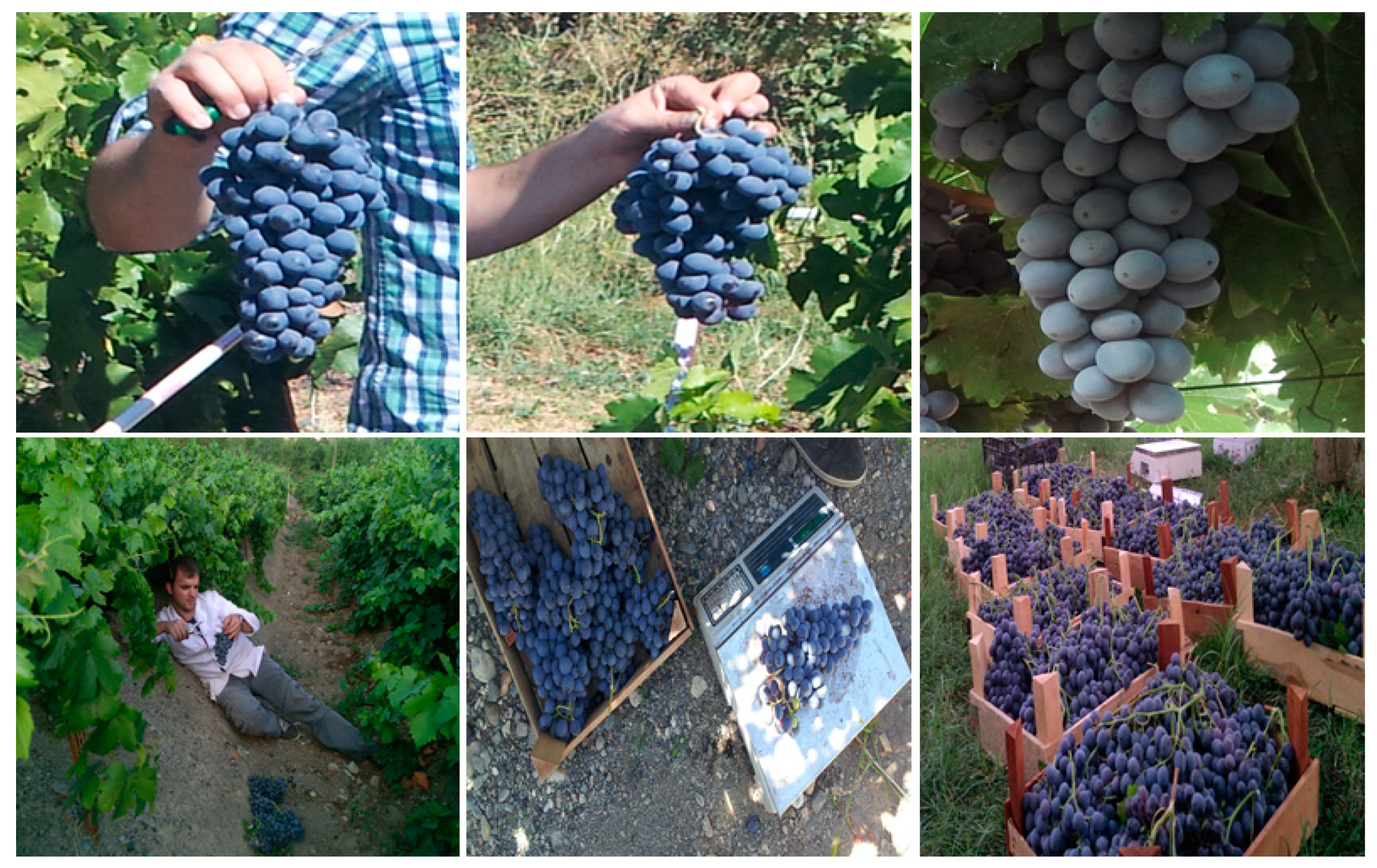 Sustainability 13 10236 g005 Sustainability 13 10236 g005