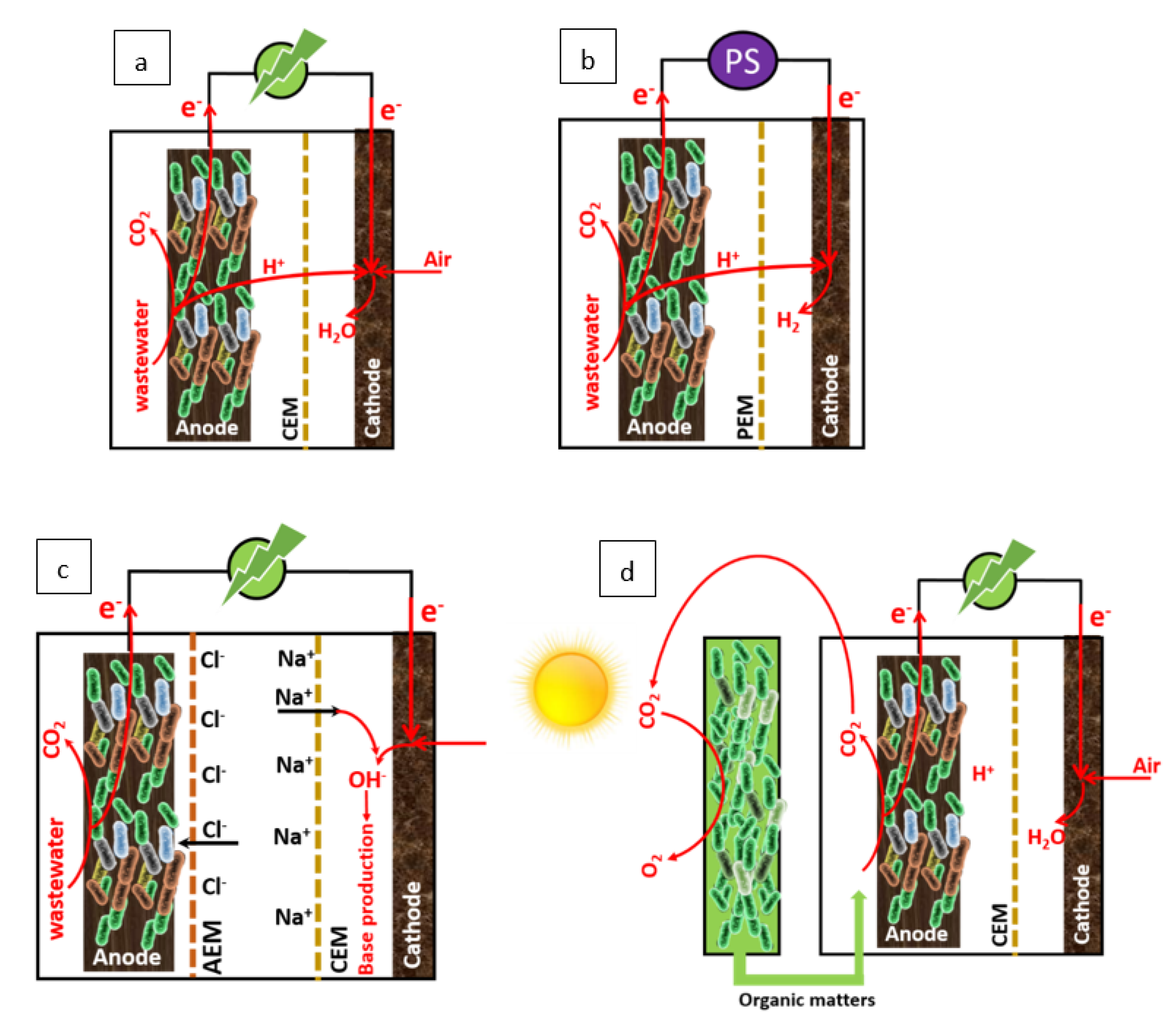 Sustainability 13 10261 g002