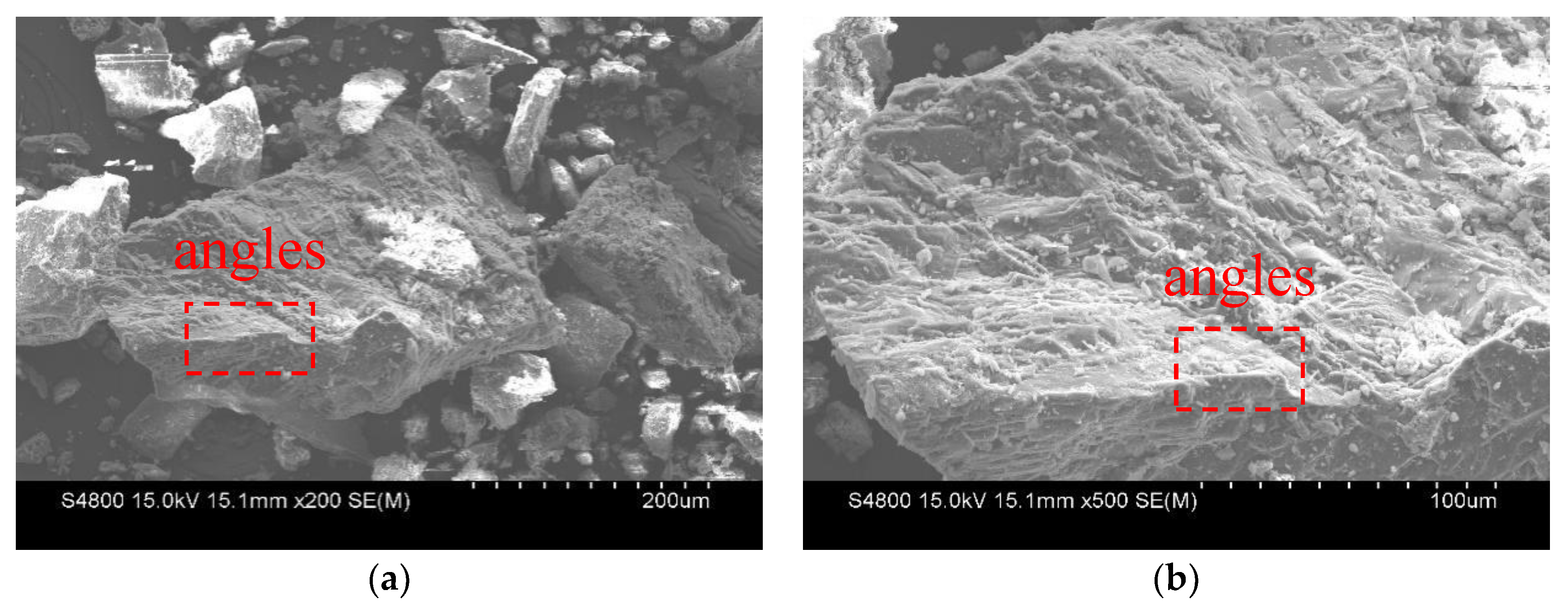 Sustainability 13 10271 g003a 550