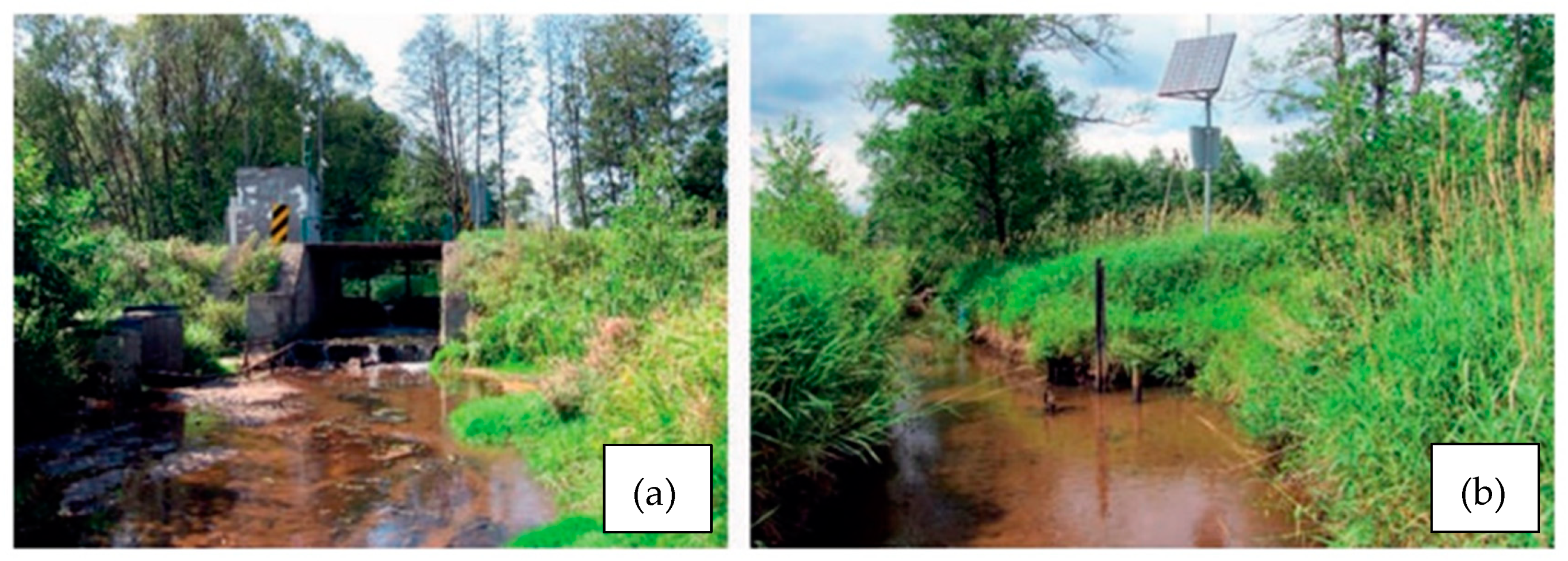 Sustainability 13 10339 g001