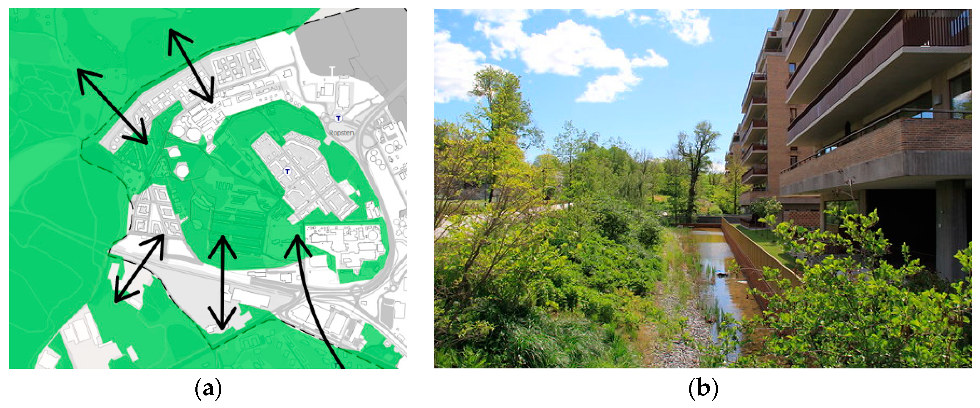 Sustainability 13 10389 g003