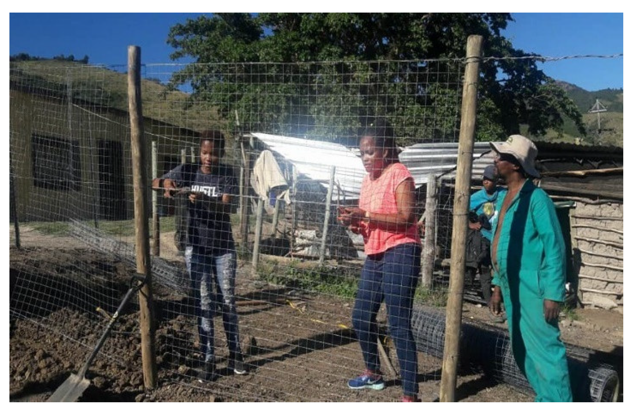 Sustainability 13 10411 g001