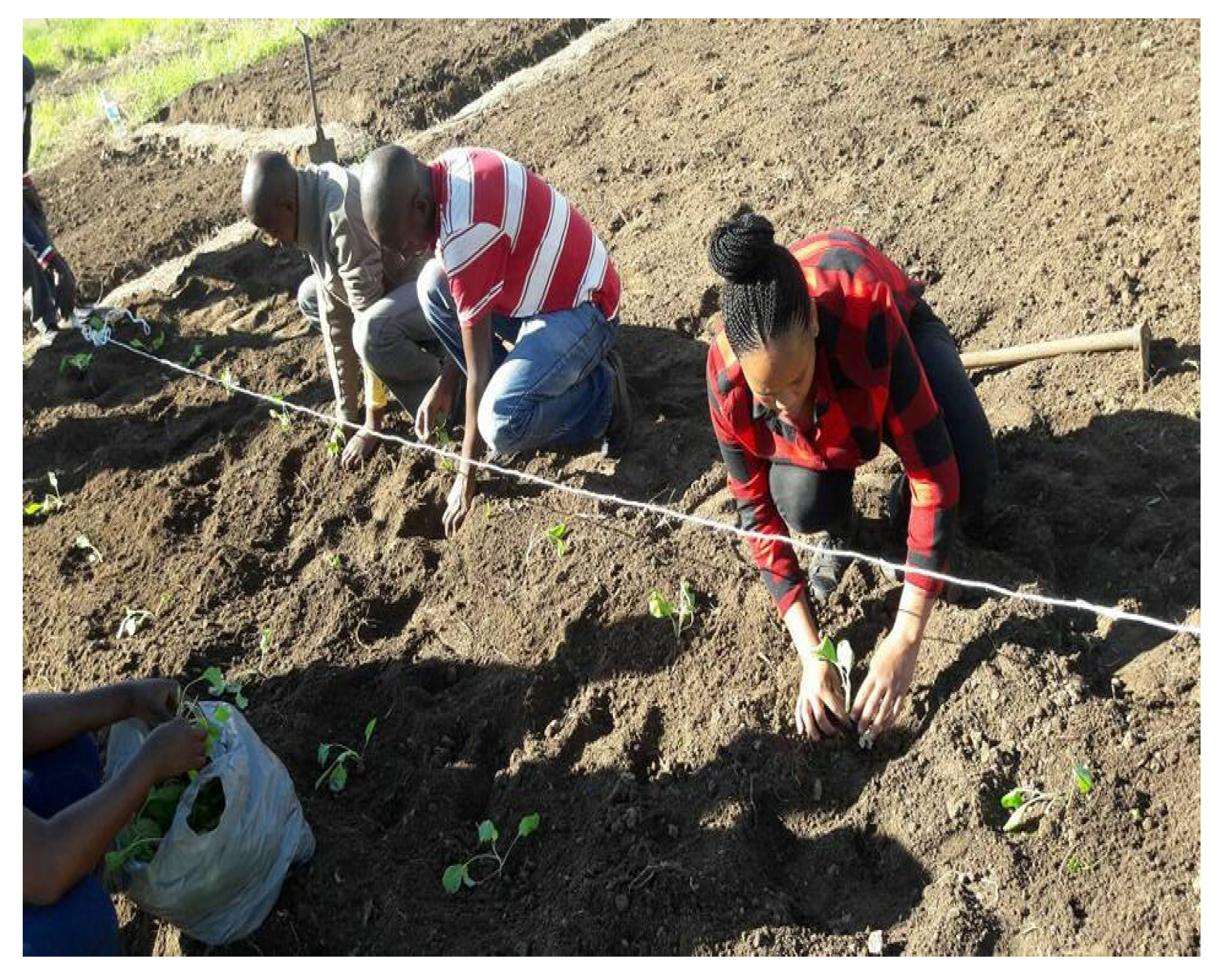 Sustainability 13 10411 g003