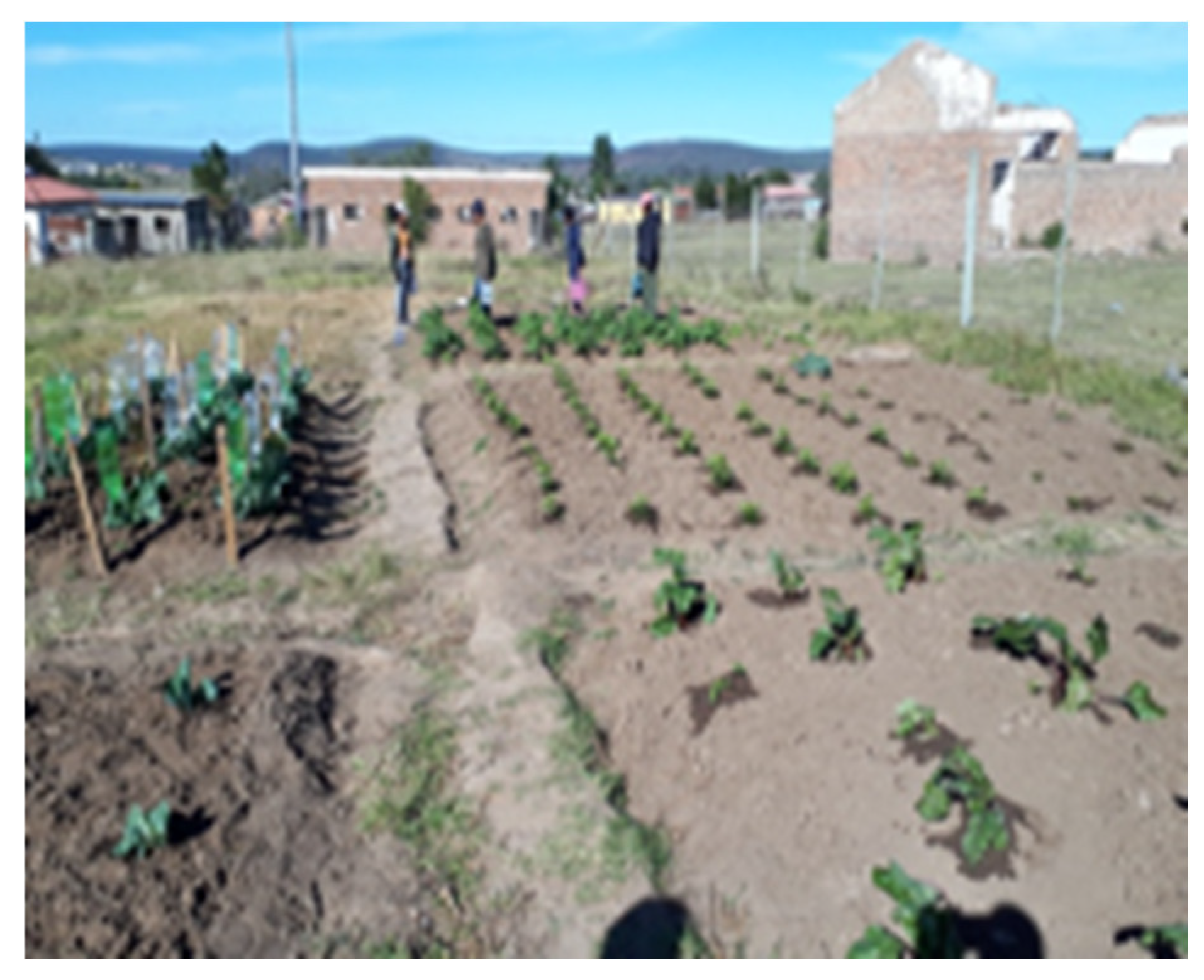 Sustainability 13 10411 g004