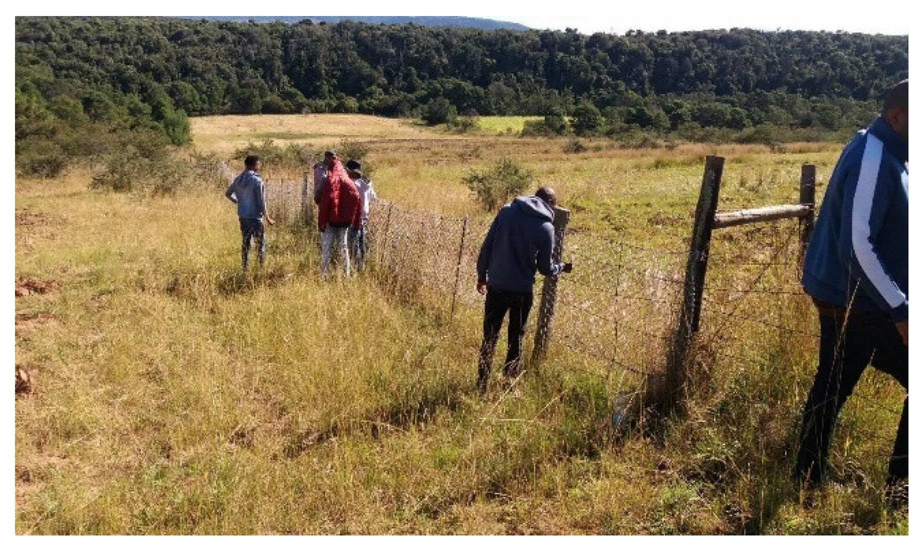 Sustainability 13 10411 g005