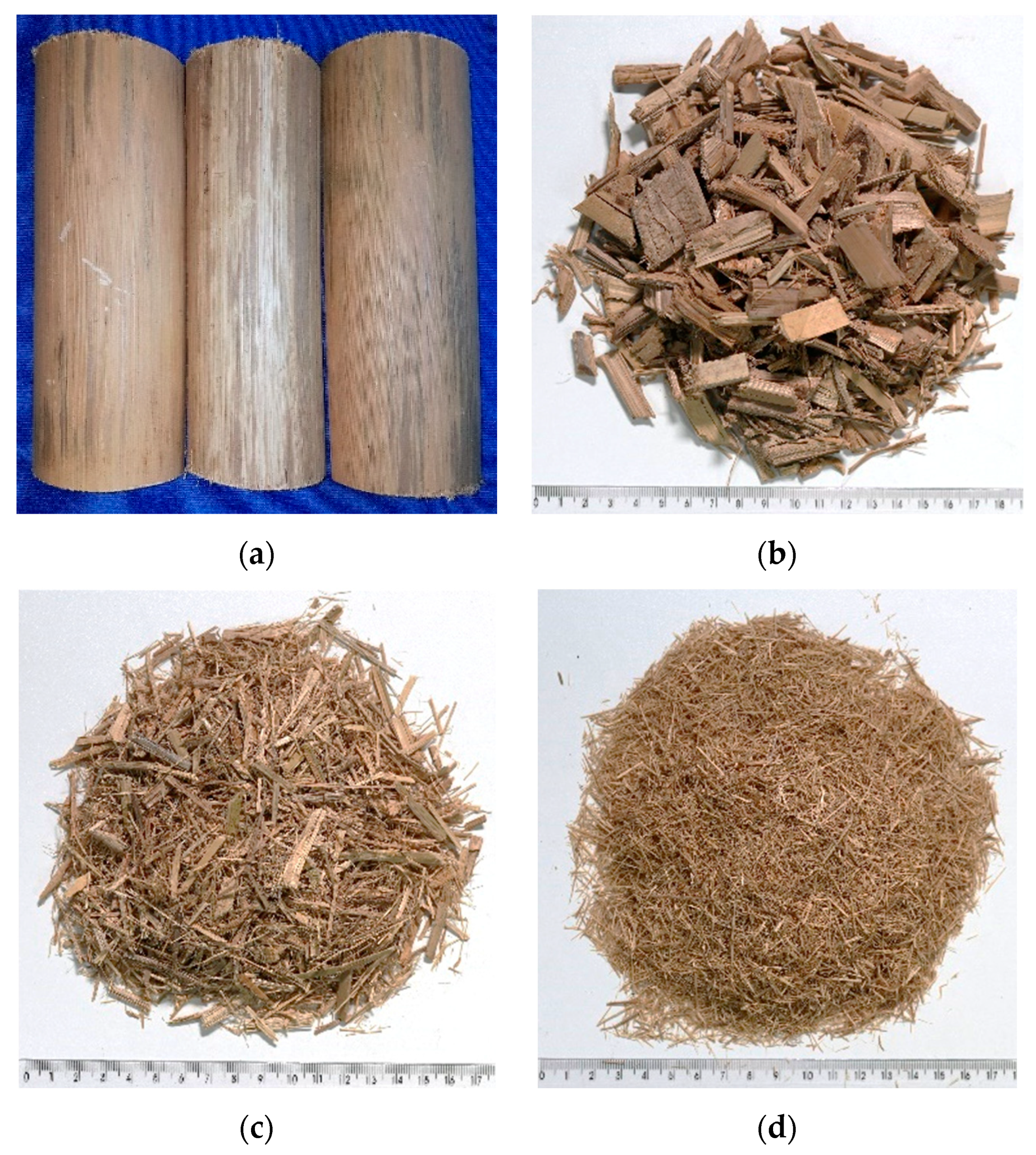 Sustainability 13 10429 g002 550