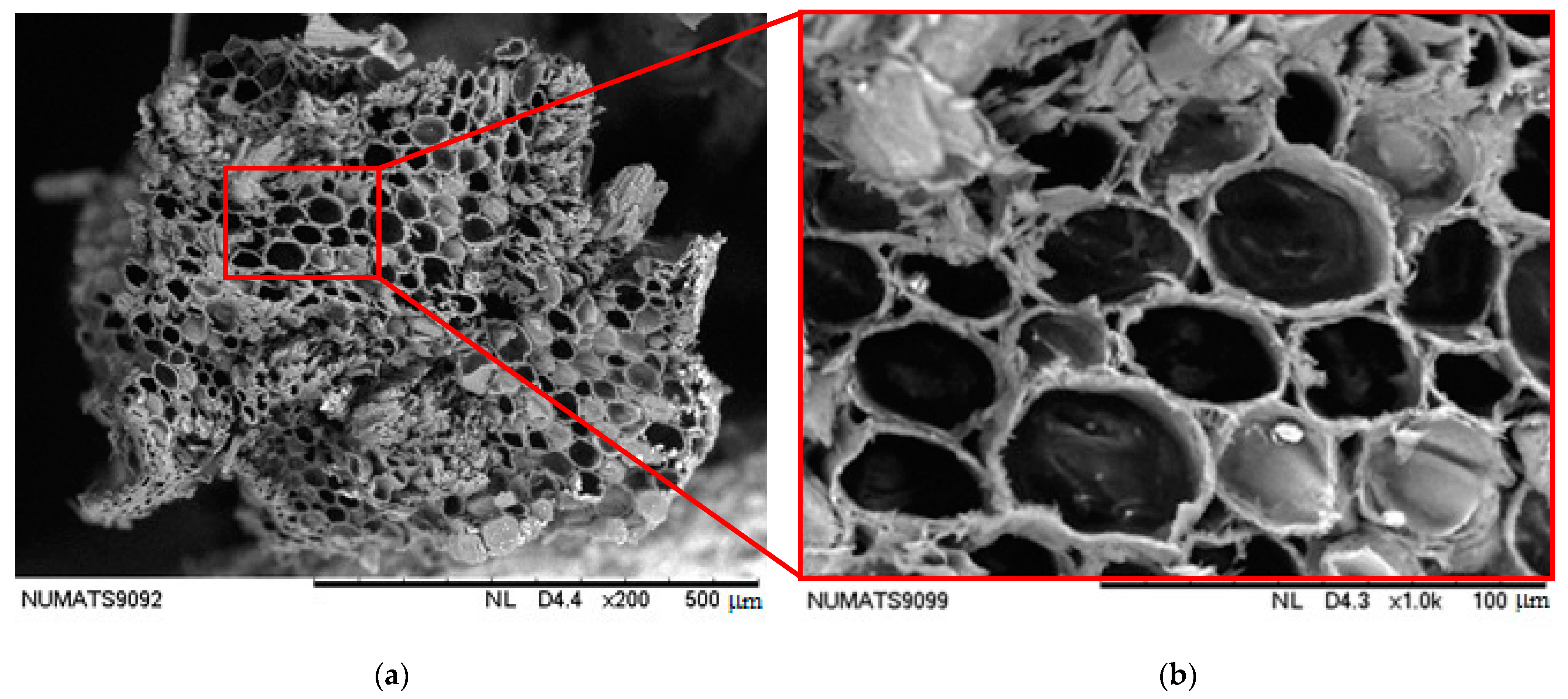 Sustainability 13 10429 g004 550
