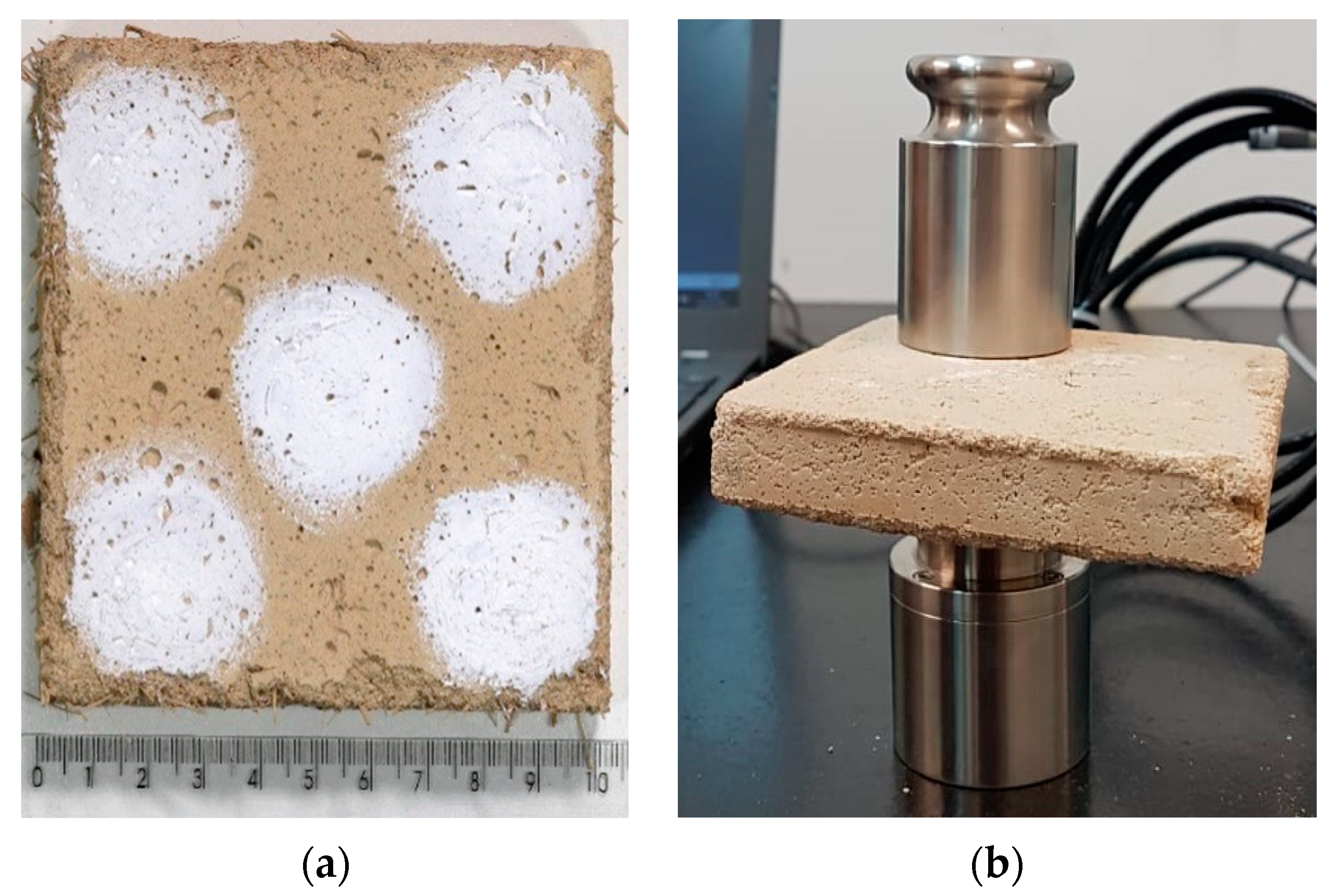 Sustainability 13 10429 g006 550