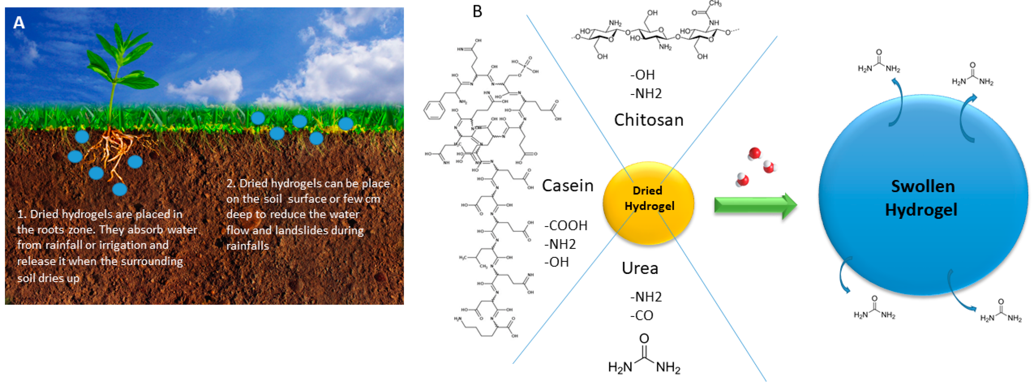 Sustainability 13 10439 g001 550