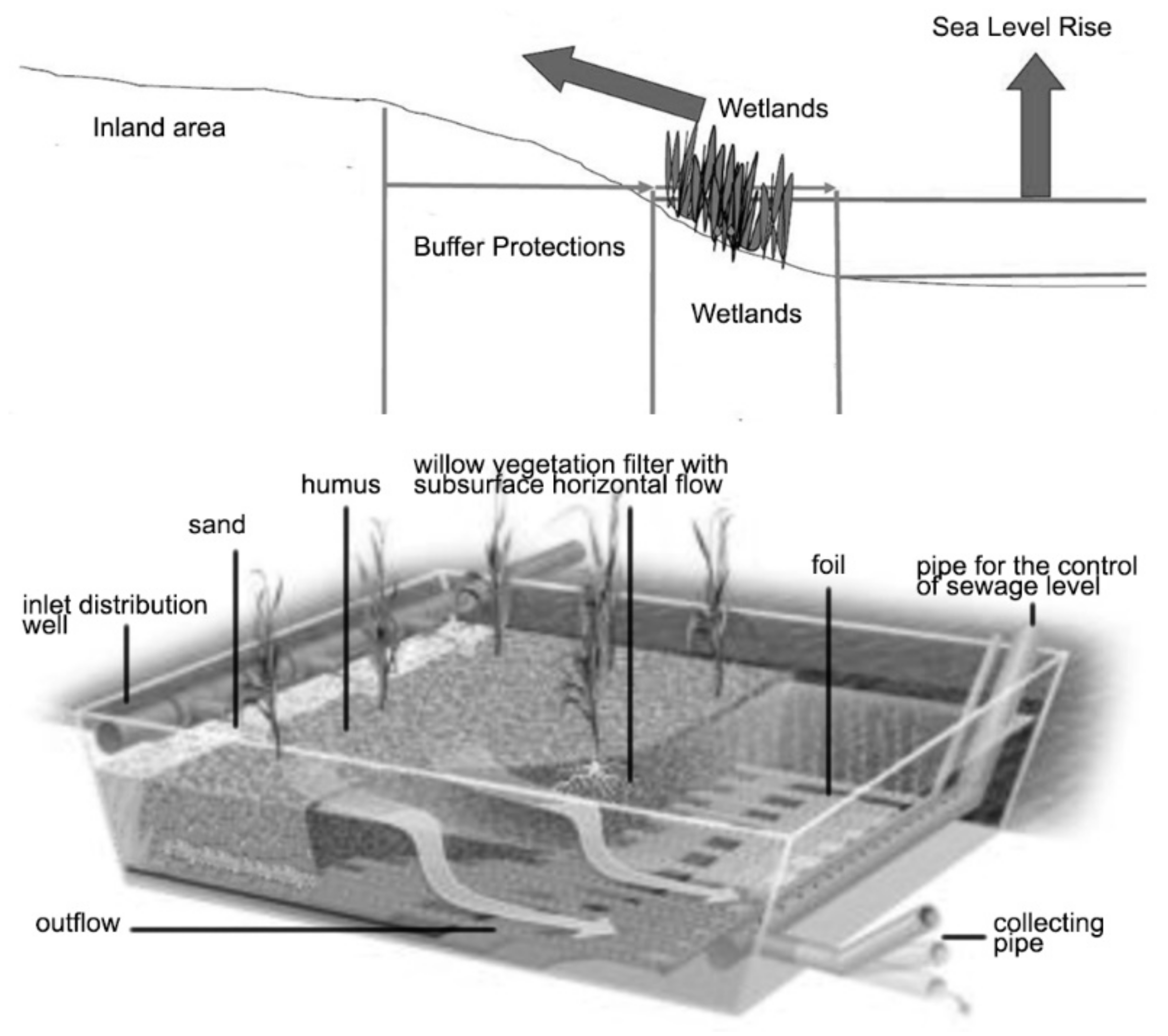 Sustainability 13 10474 g006 Sustainability 13 10474 g006