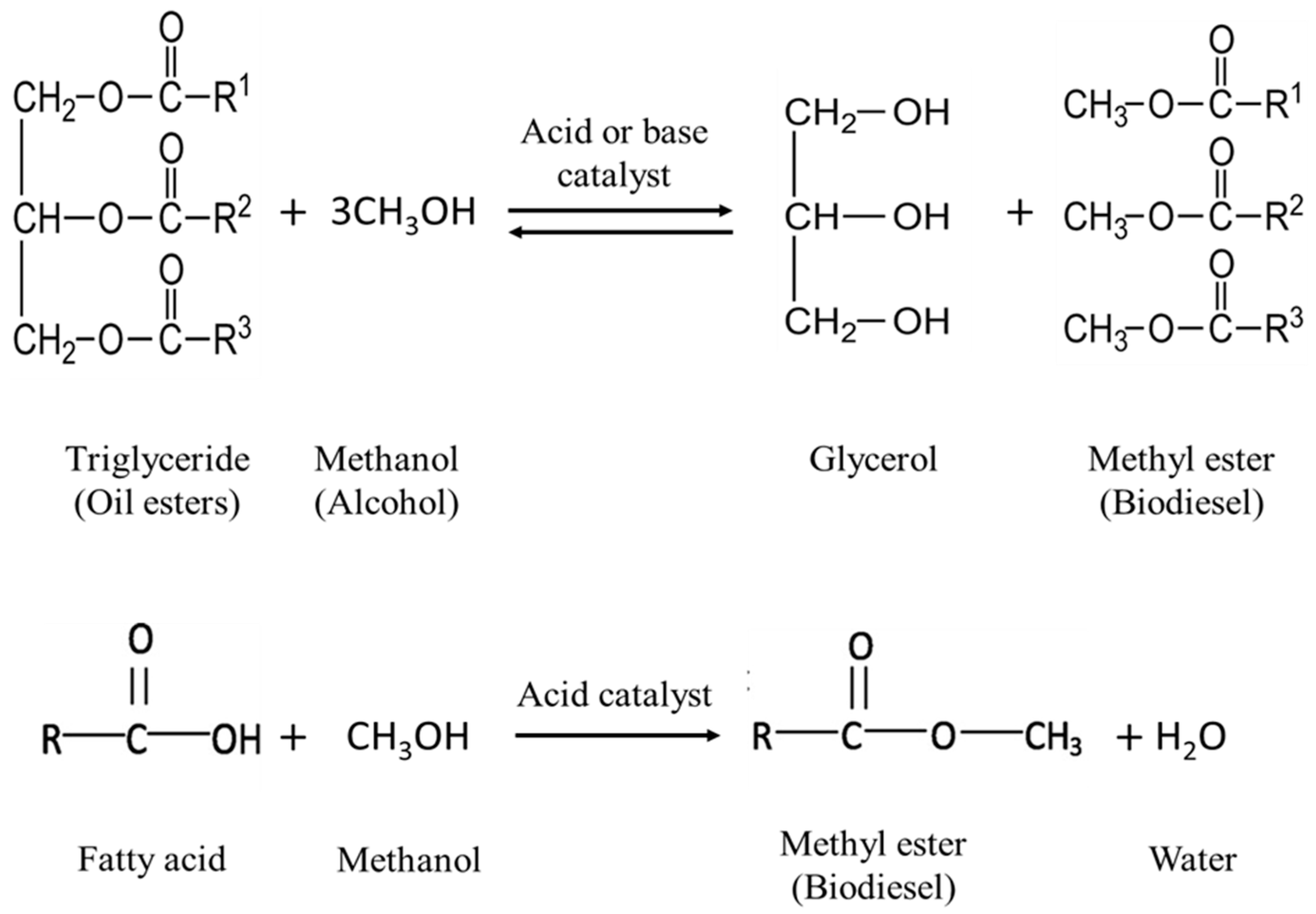 Sustainability 13 10479 g003 Sustainability 13 10479 g003