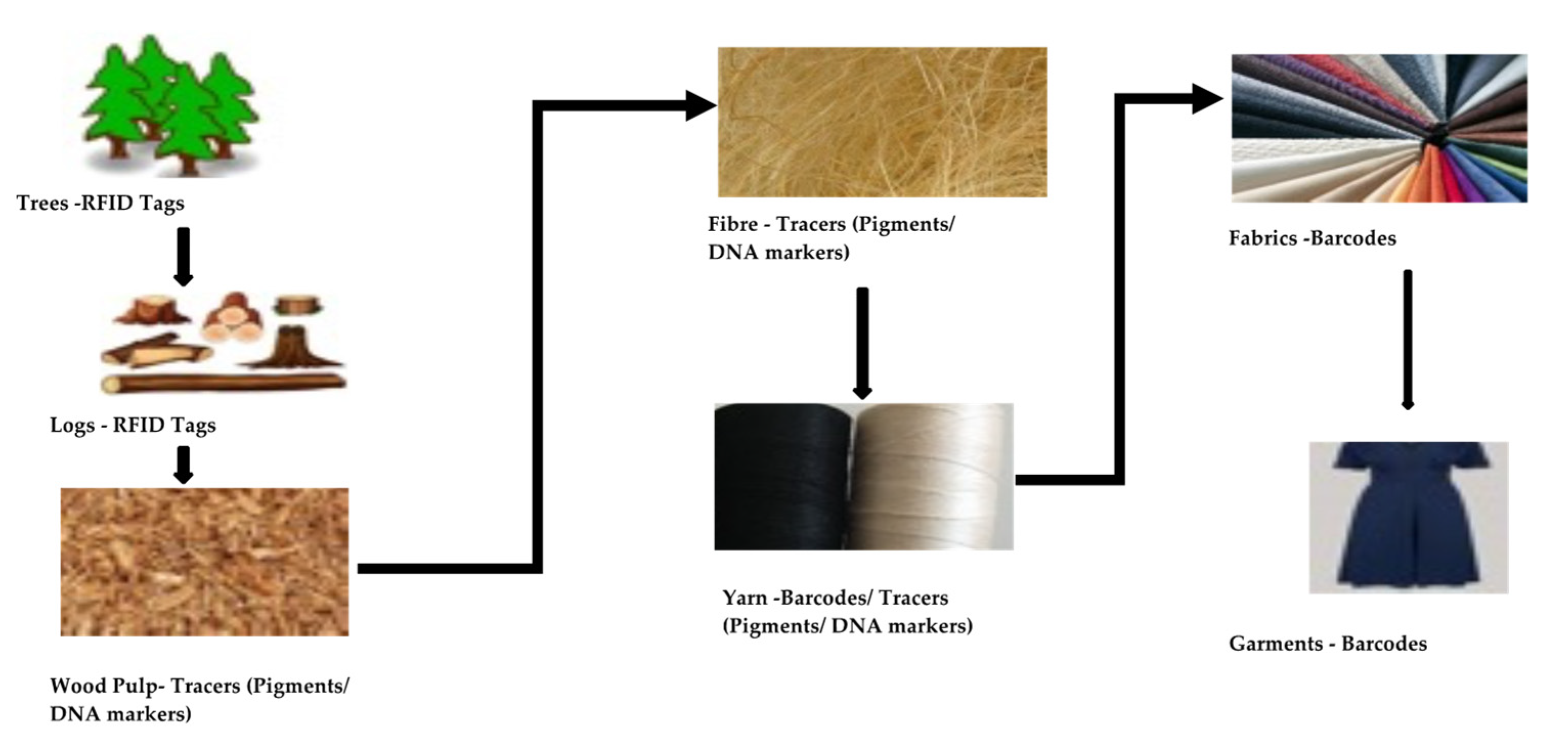 Sustainability 13 10496 g006 550