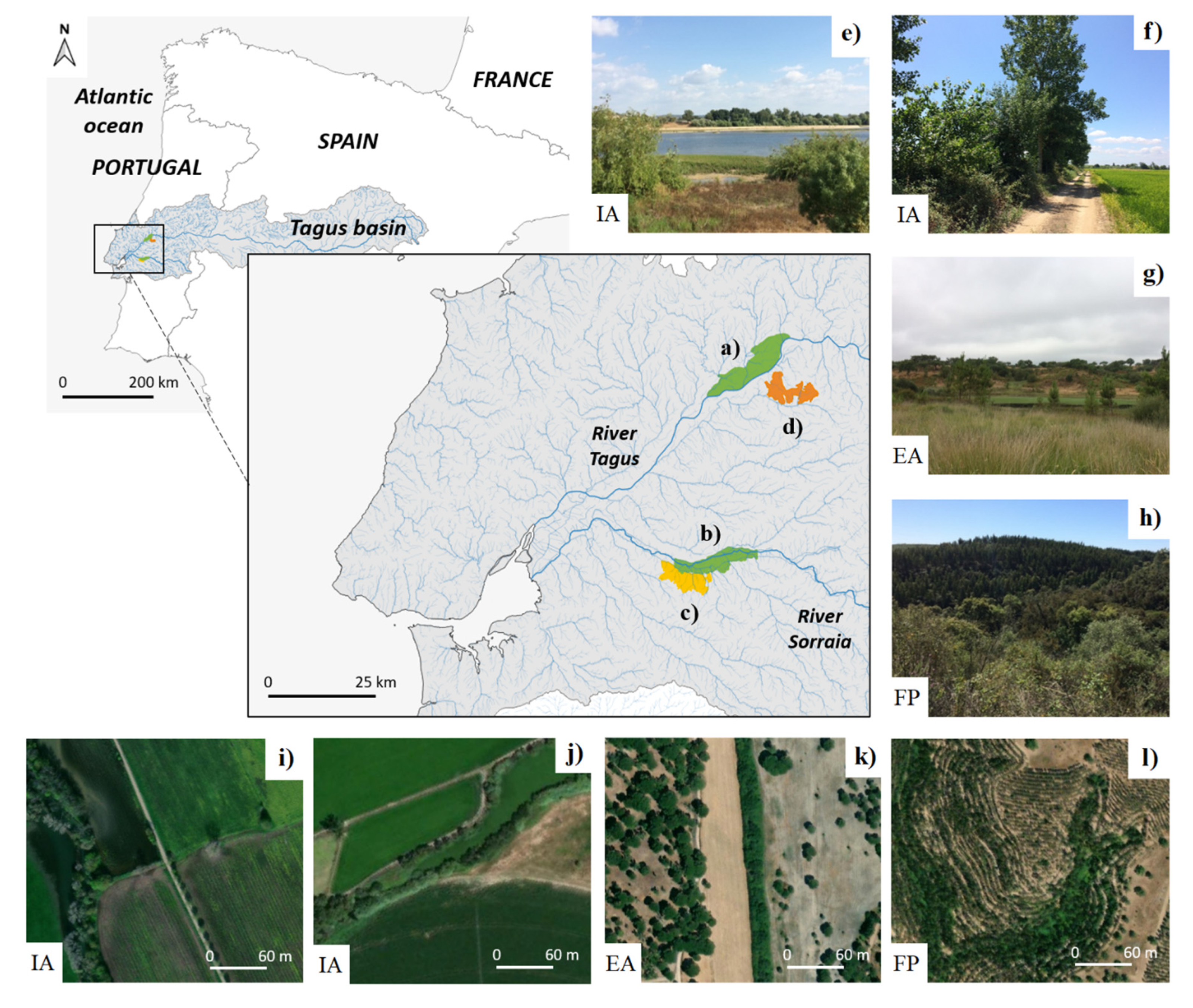 The location and vegetation physiognomy of ecological infrastructures  determine bat activity in Mediterranean floodplain landscapes -  ScienceDirect