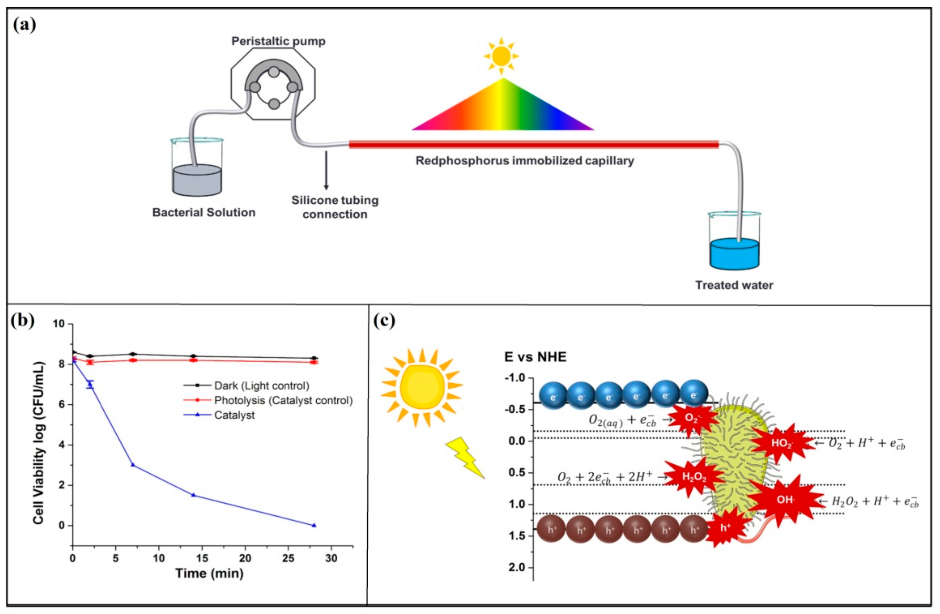 Sustainability 13 10570 g002 Sustainability 13 10570 g002
