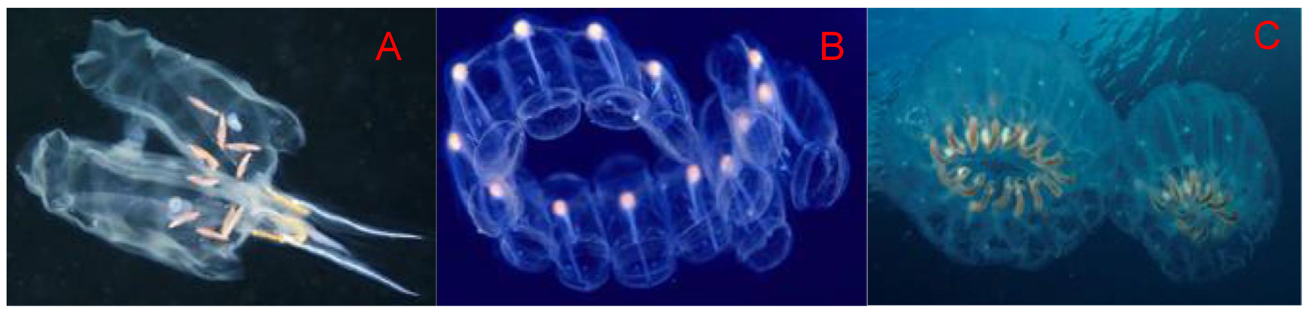 Sustainability 13 10575 g021