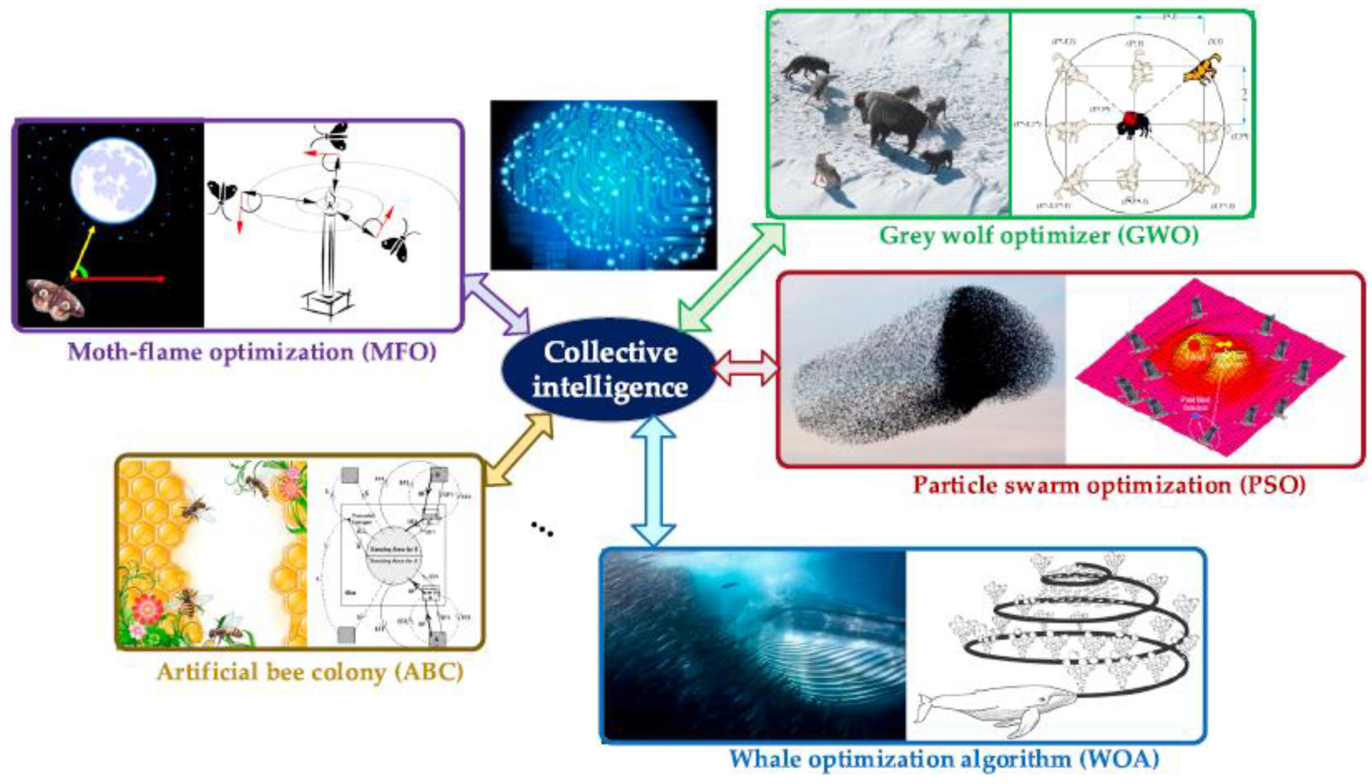 Sustainability 13 10575 g024