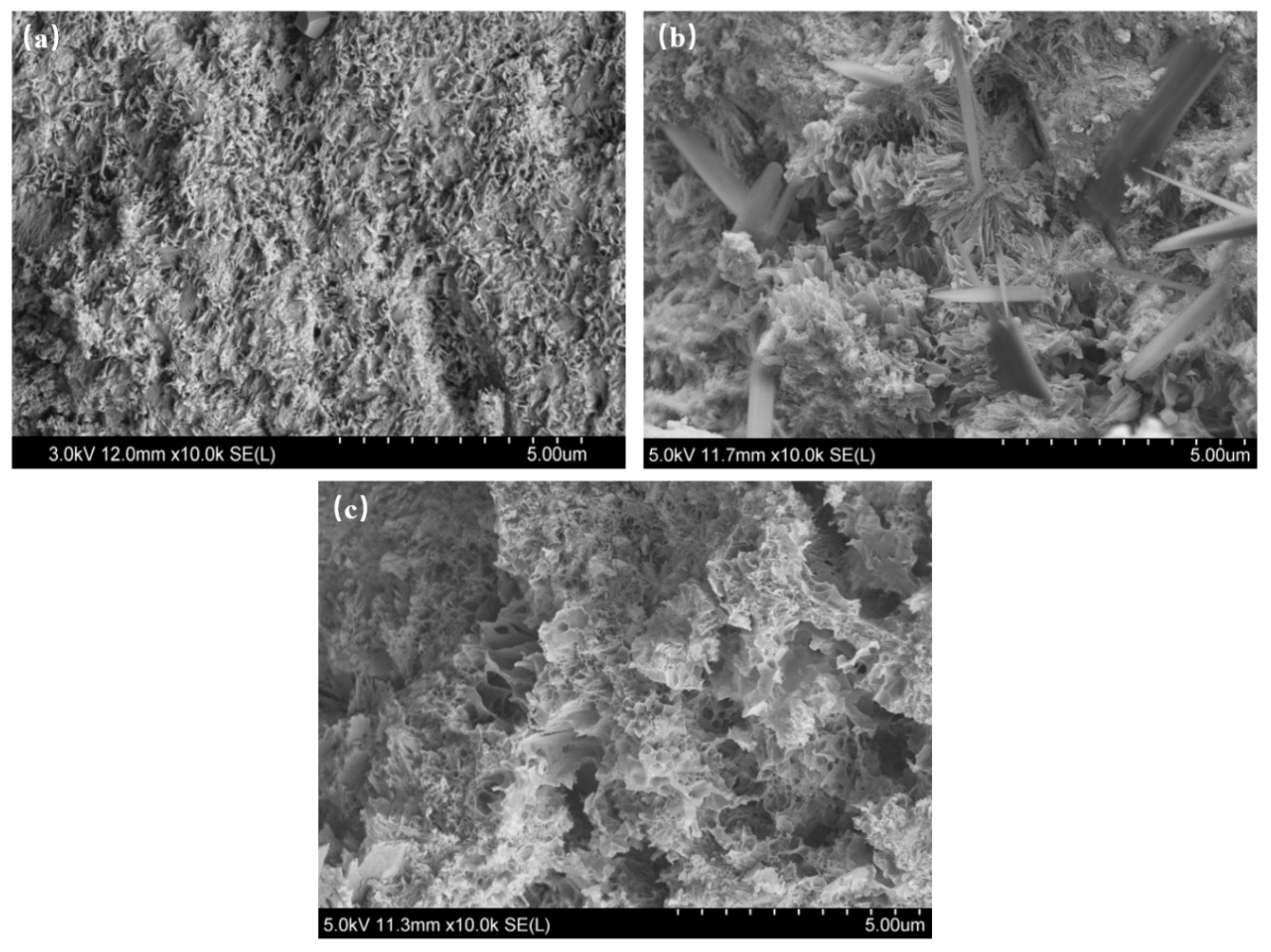 Sustainability 13 10618 g004 550