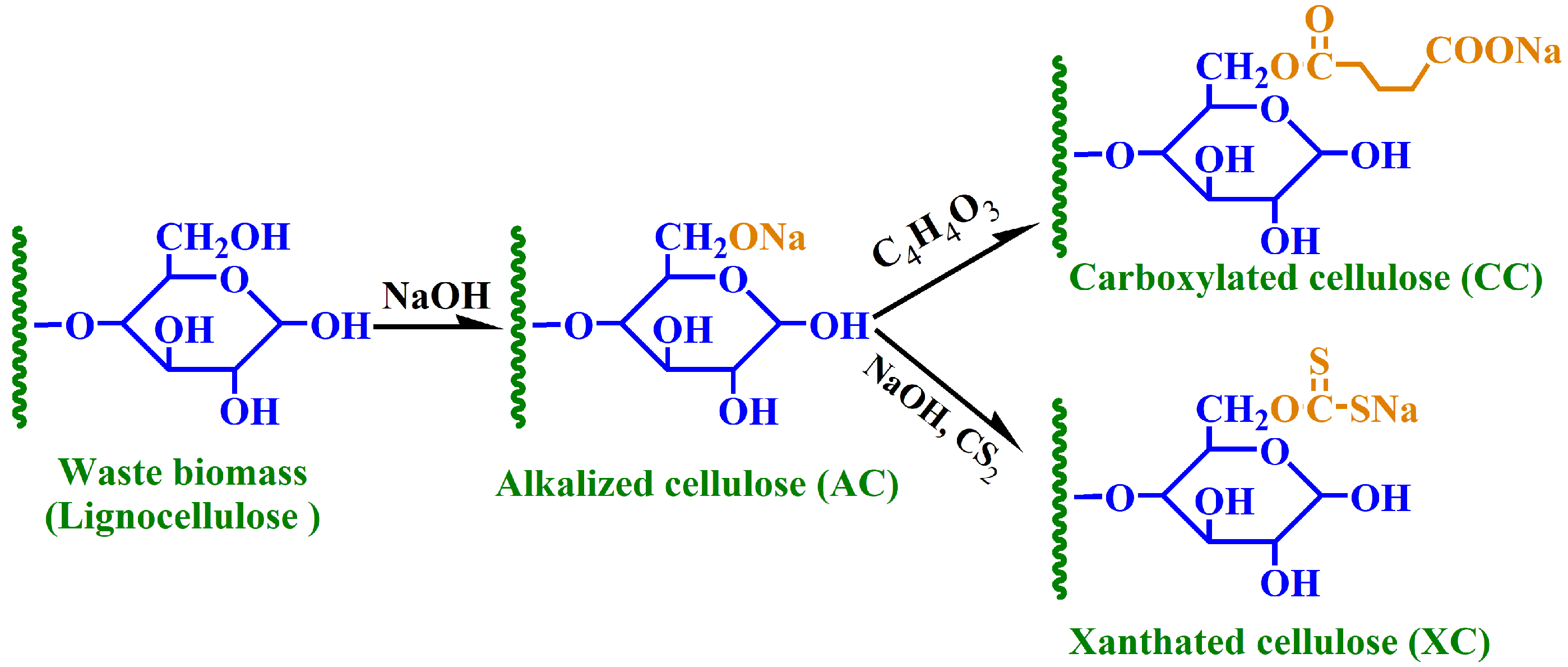 Sustainability 13 10673 g001 550