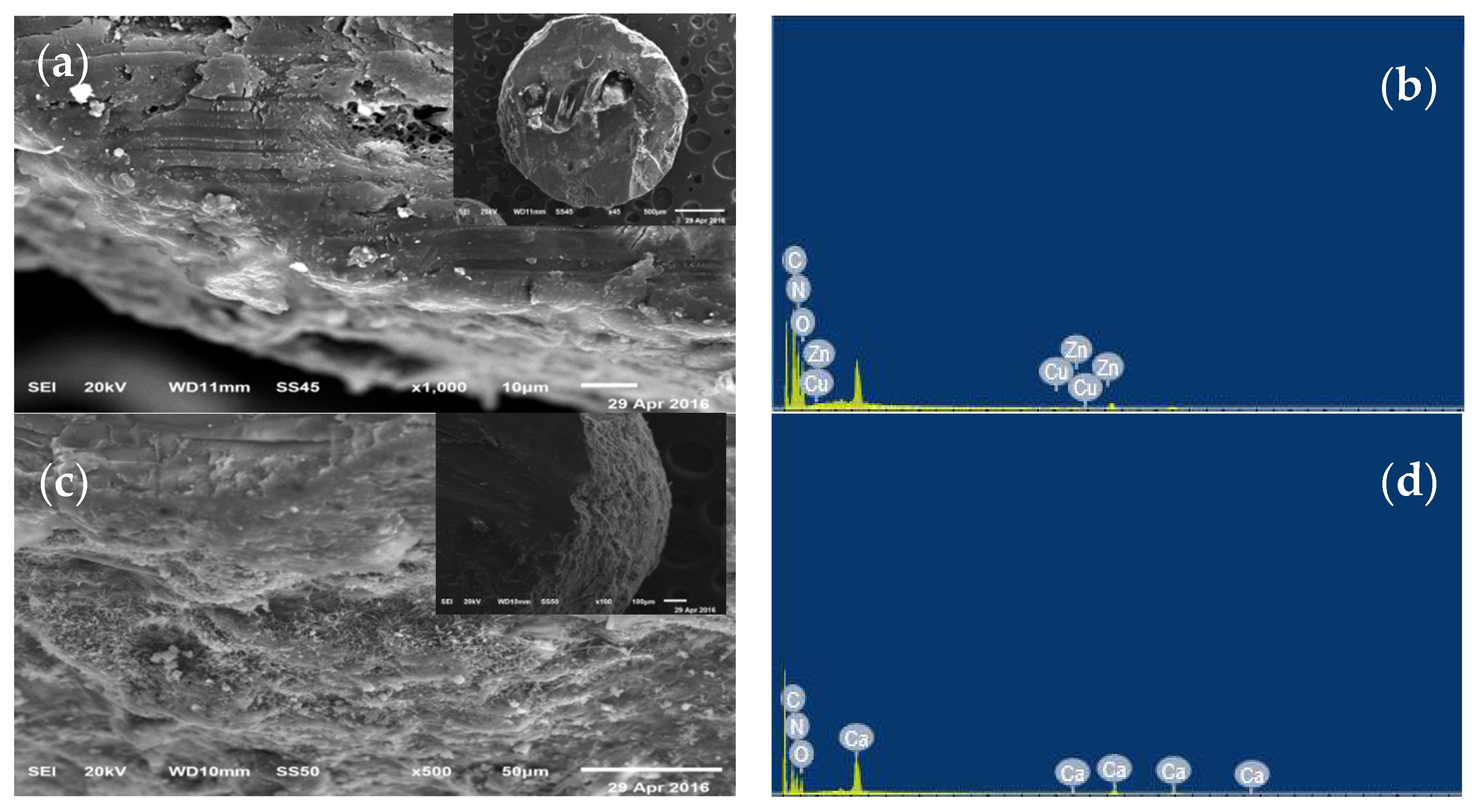 Sustainability 13 10707 g003a