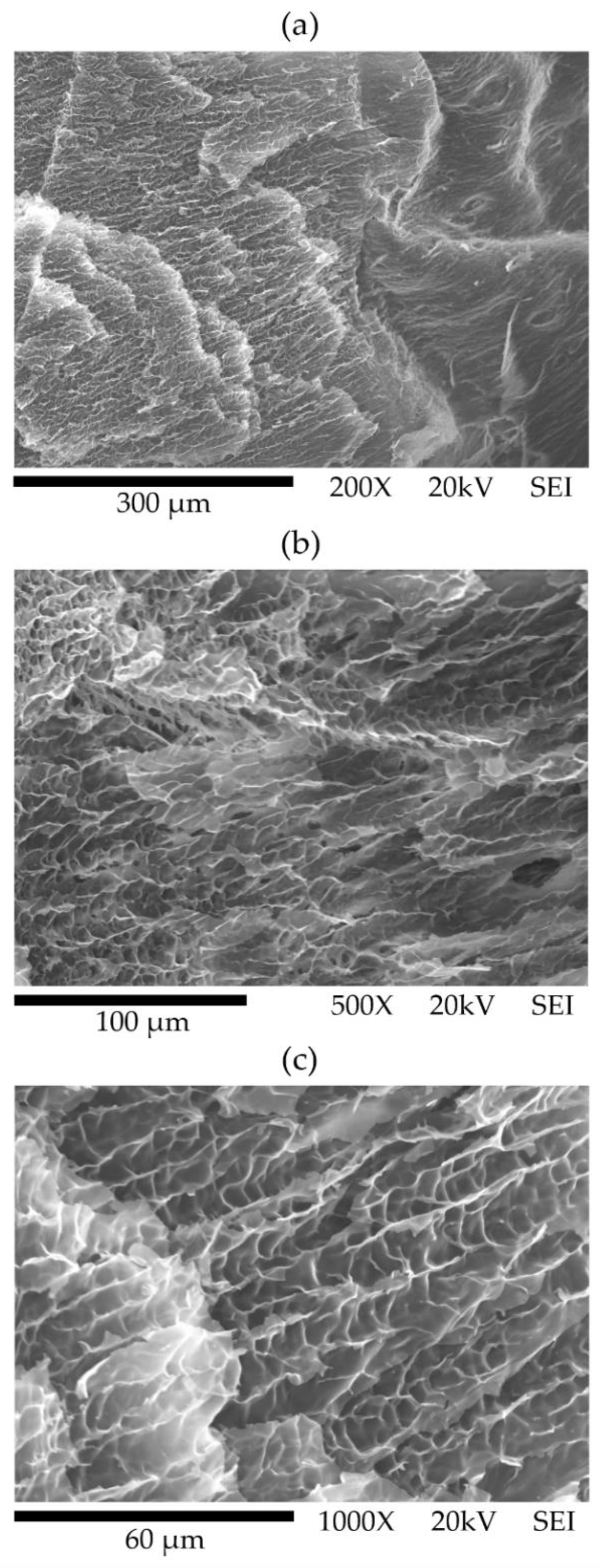 Sustainability 13 10723 g005