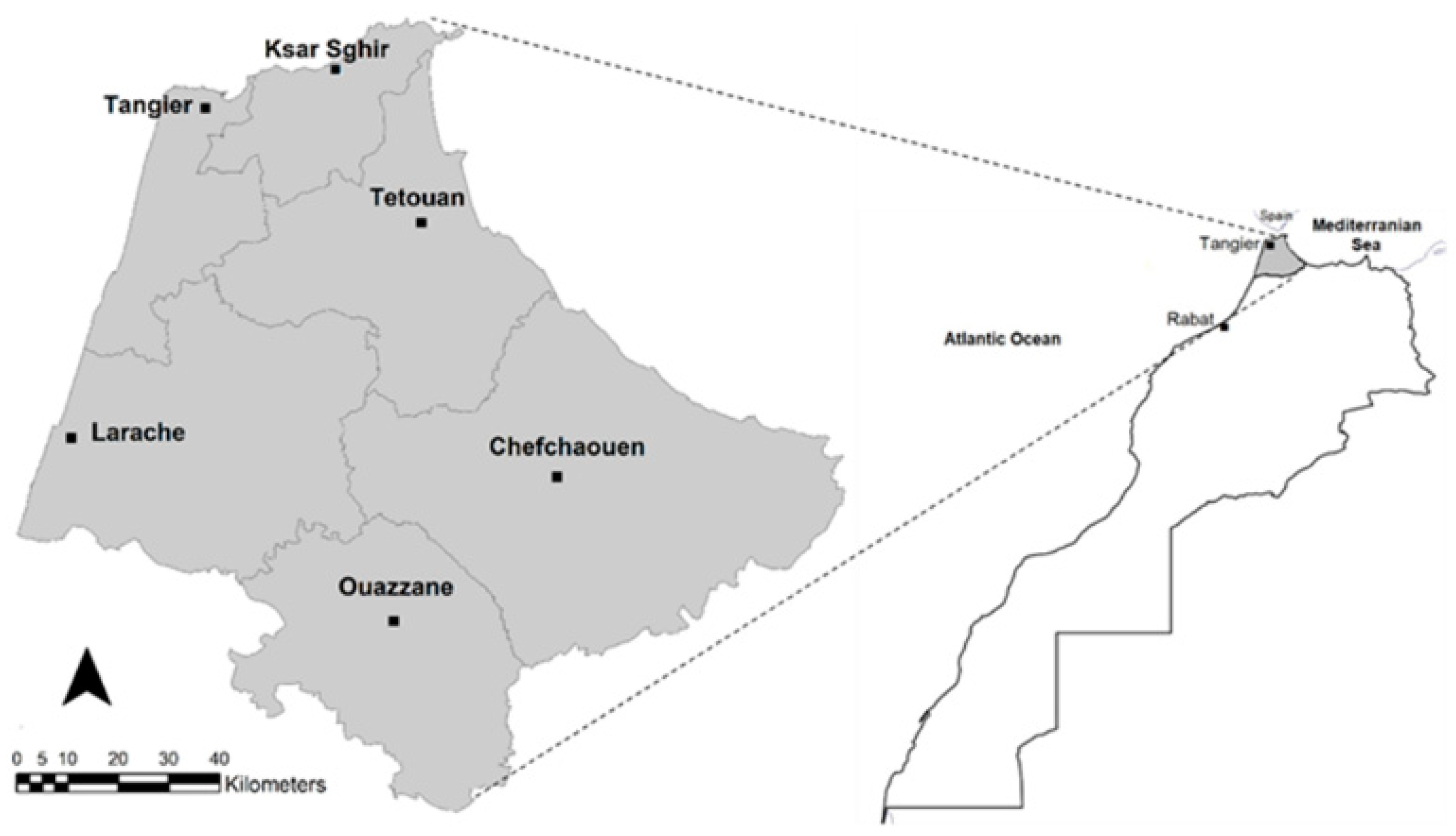 Sustainability 13 10744 g002