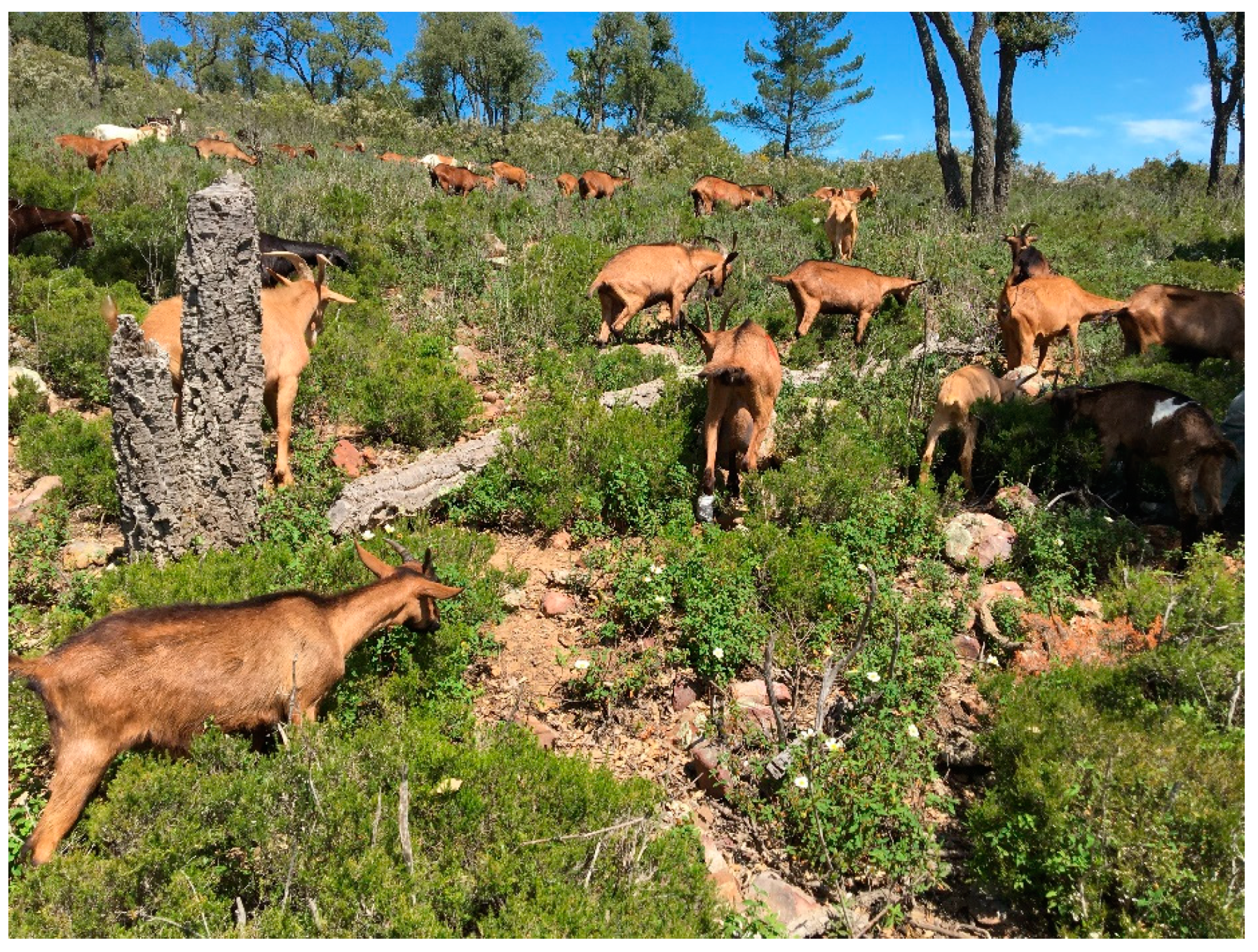 Sustainability 13 10744 g003