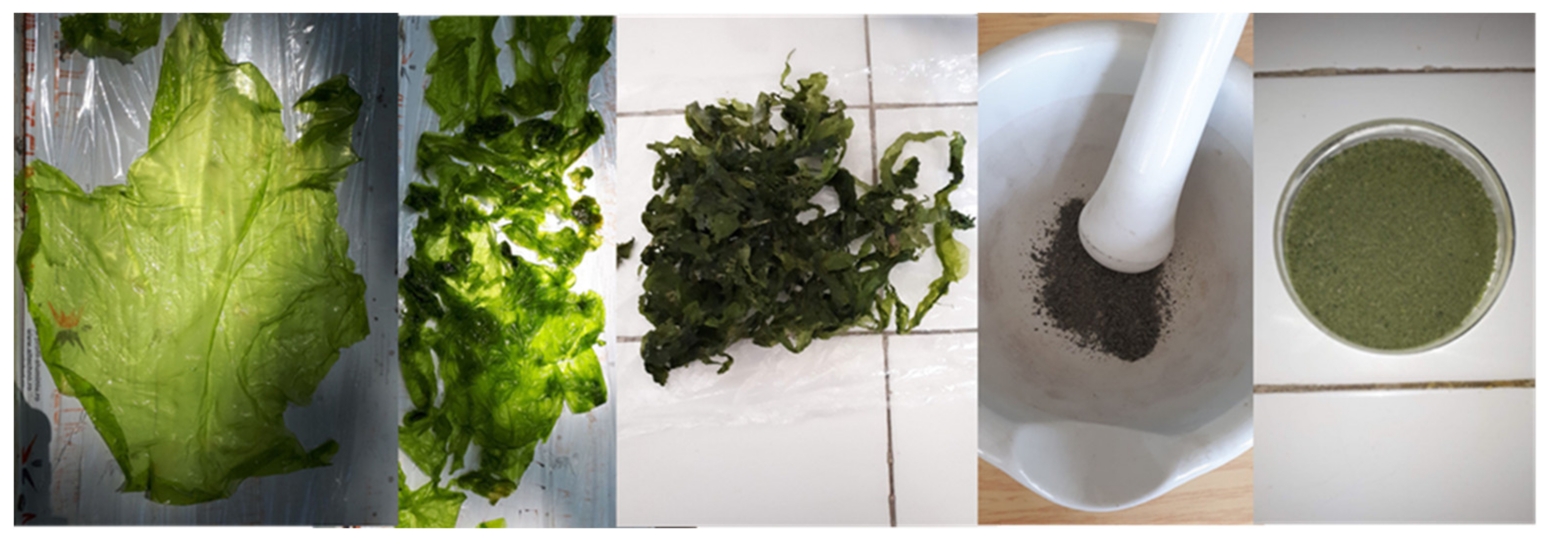 Sustainability 13 10763 g002