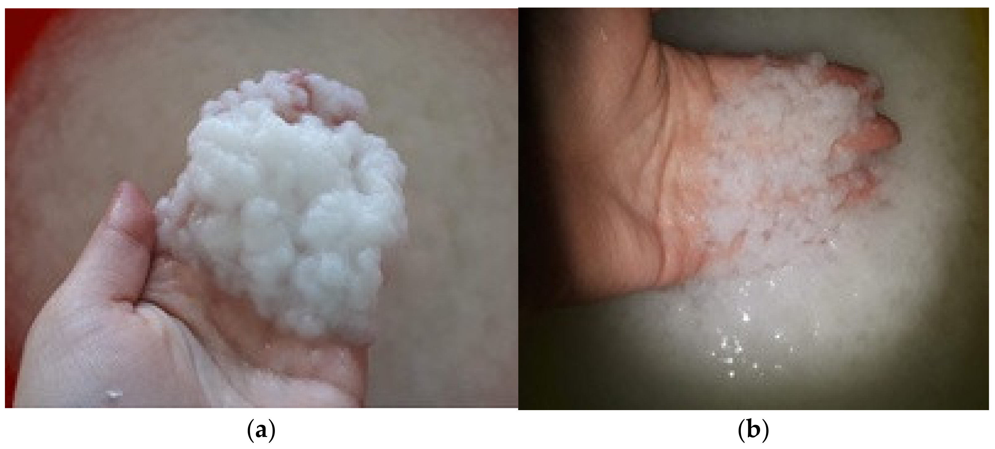 Sustainability 13 10763 g004