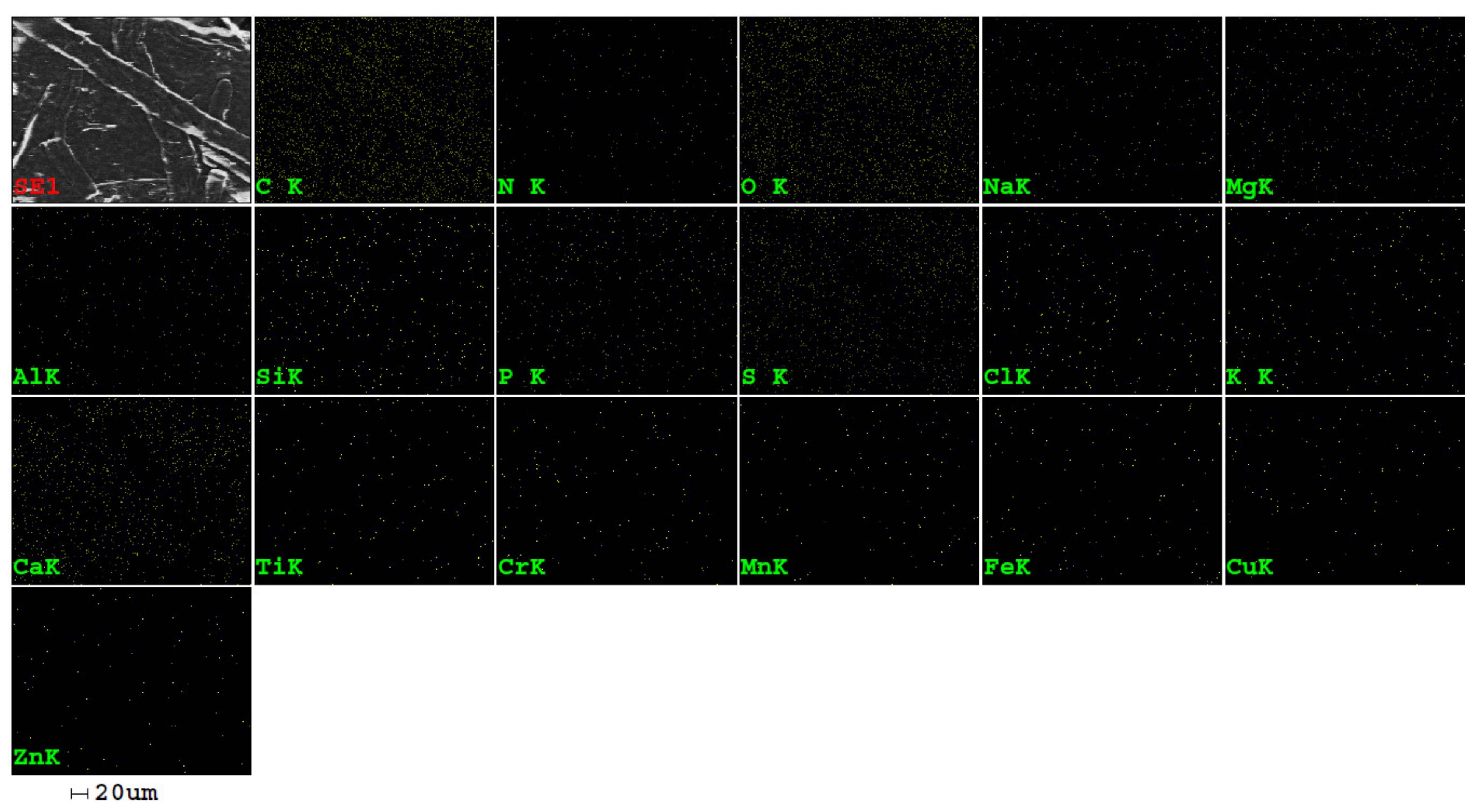 Sustainability 13 10763 g008