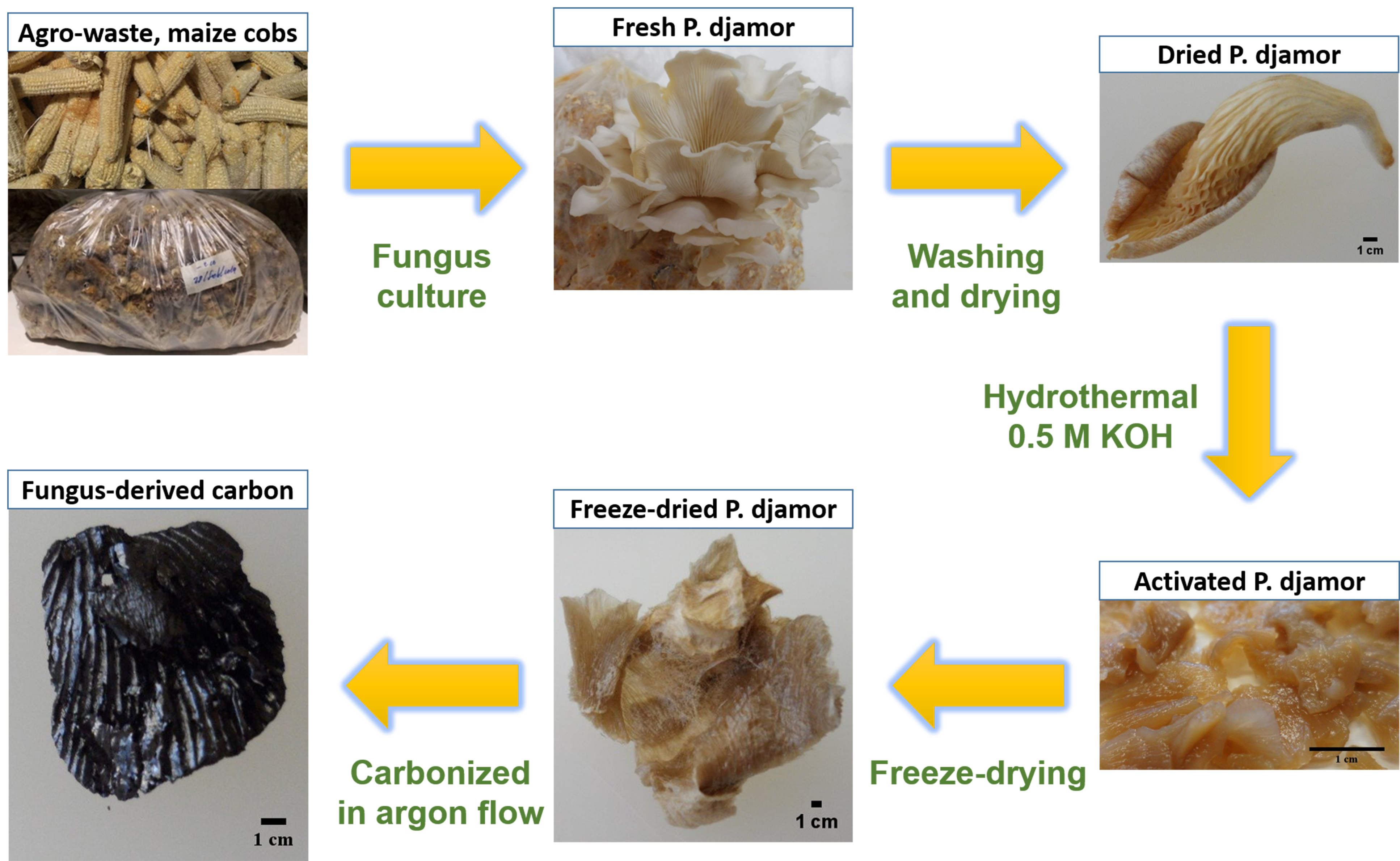 Sustainability 13 10765 g001