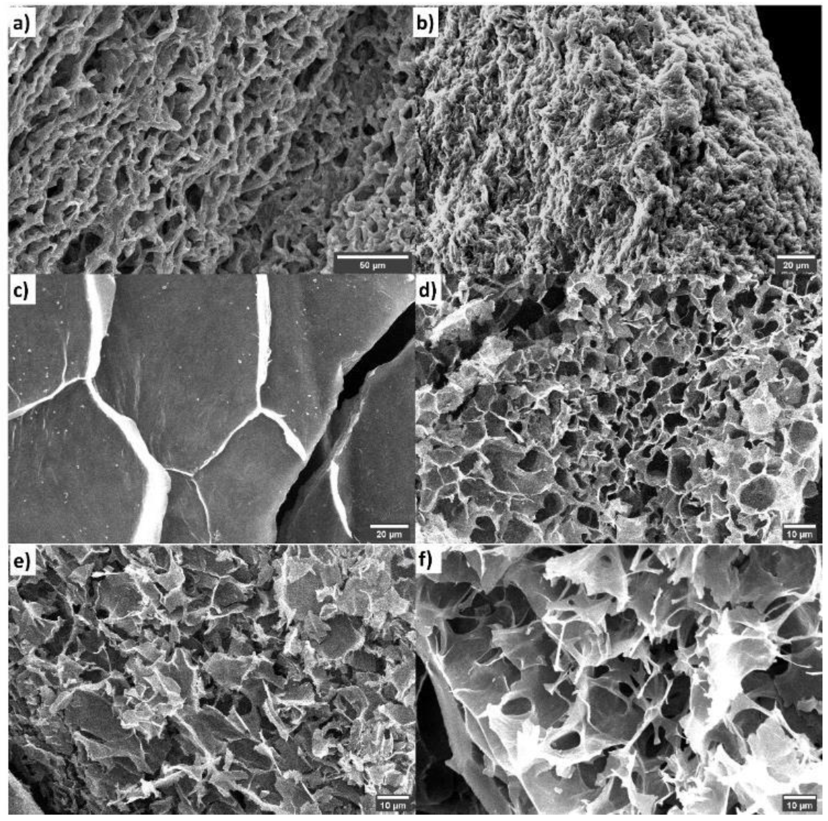 Sustainability 13 10765 g004