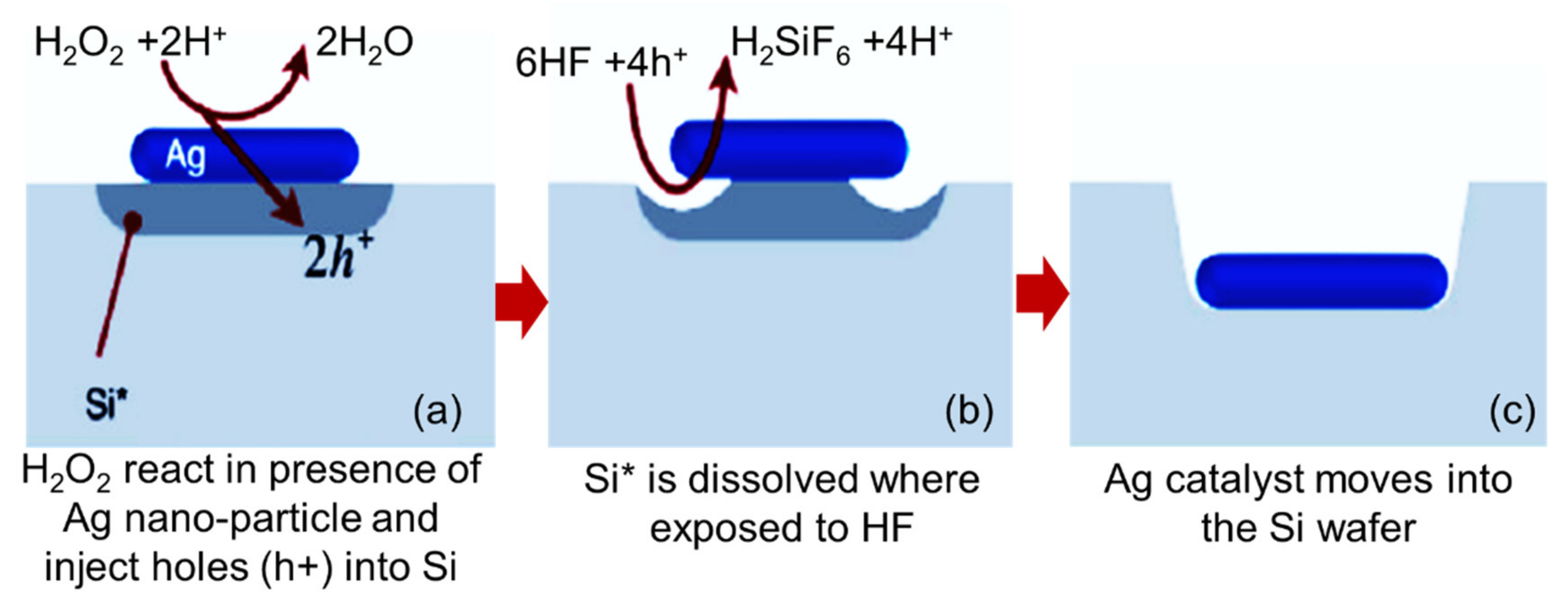 Sustainability 13 10766 g001