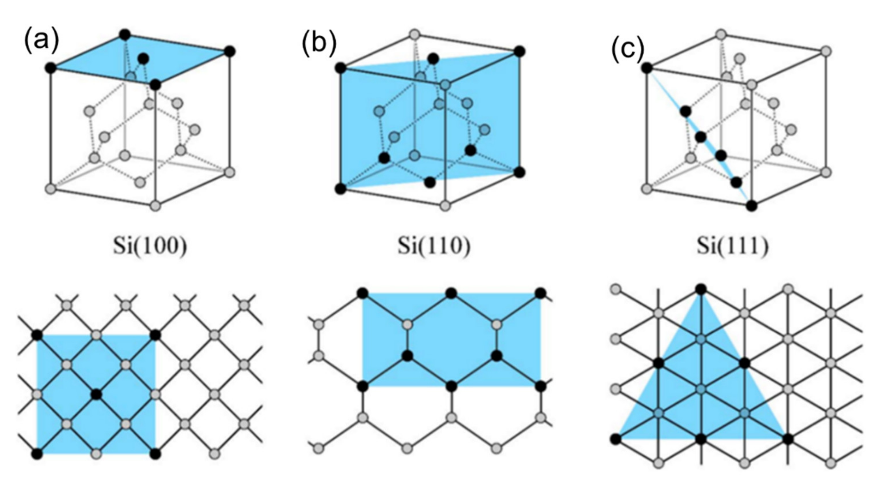 Sustainability 13 10766 g005