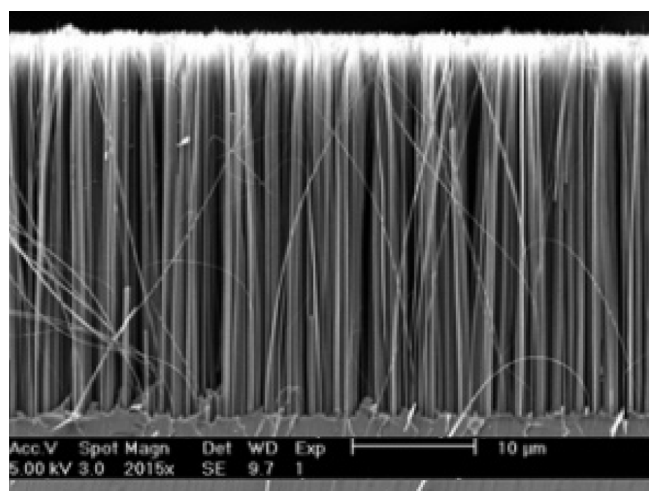 Sustainability 13 10766 g007
