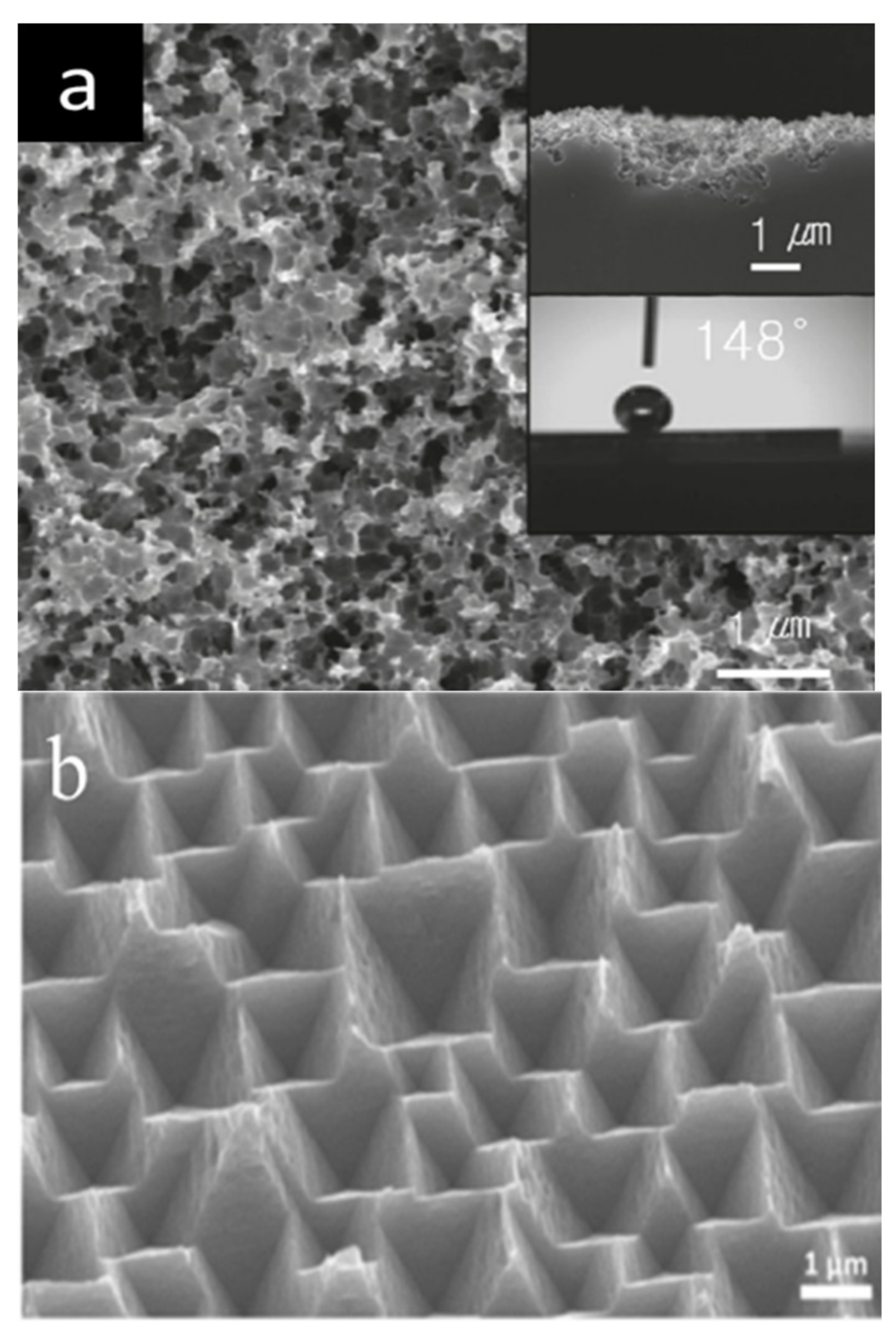 Sustainability 13 10766 g008