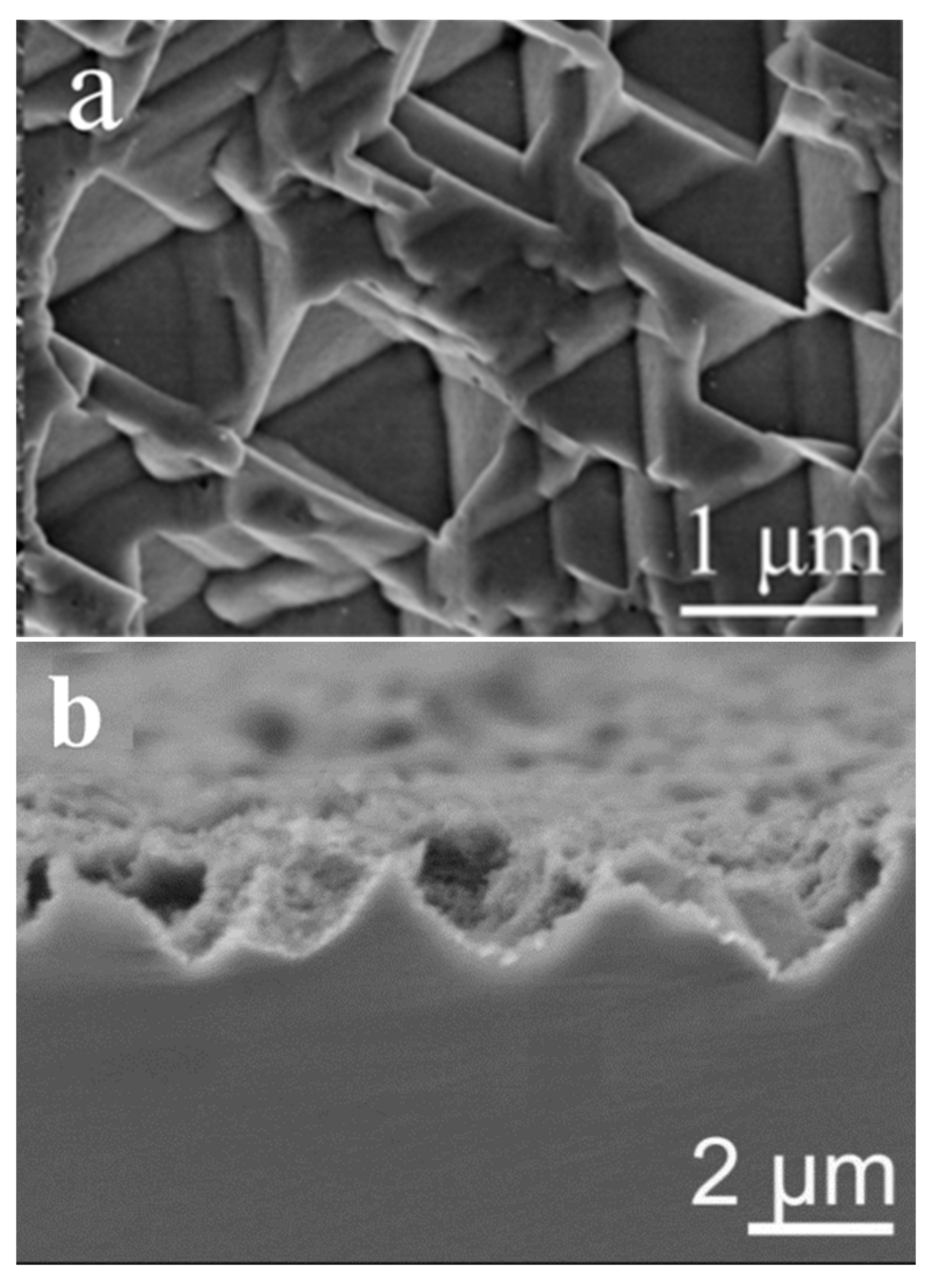 Sustainability 13 10766 g010a 550