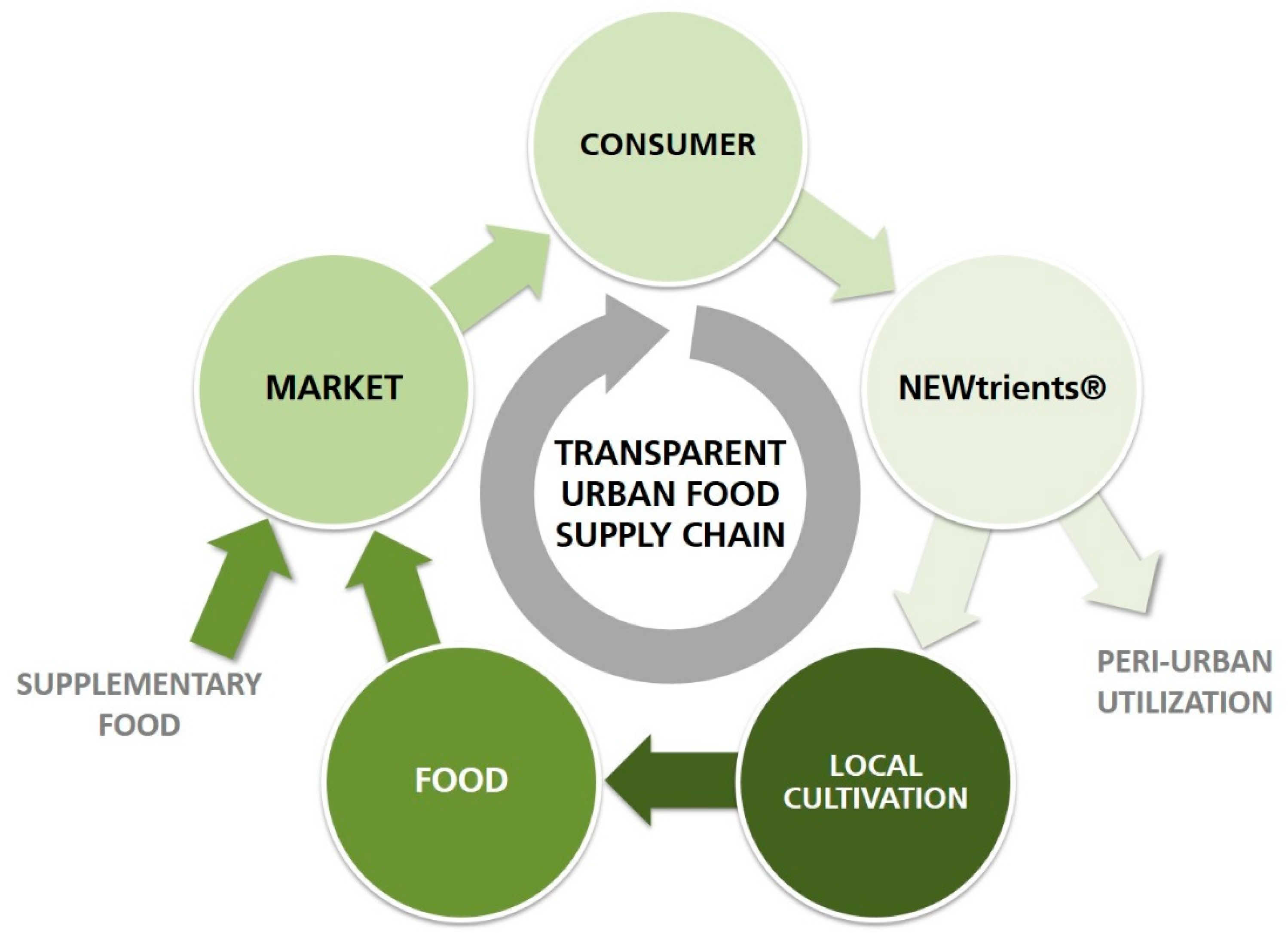Sustainability 13 10772 g002