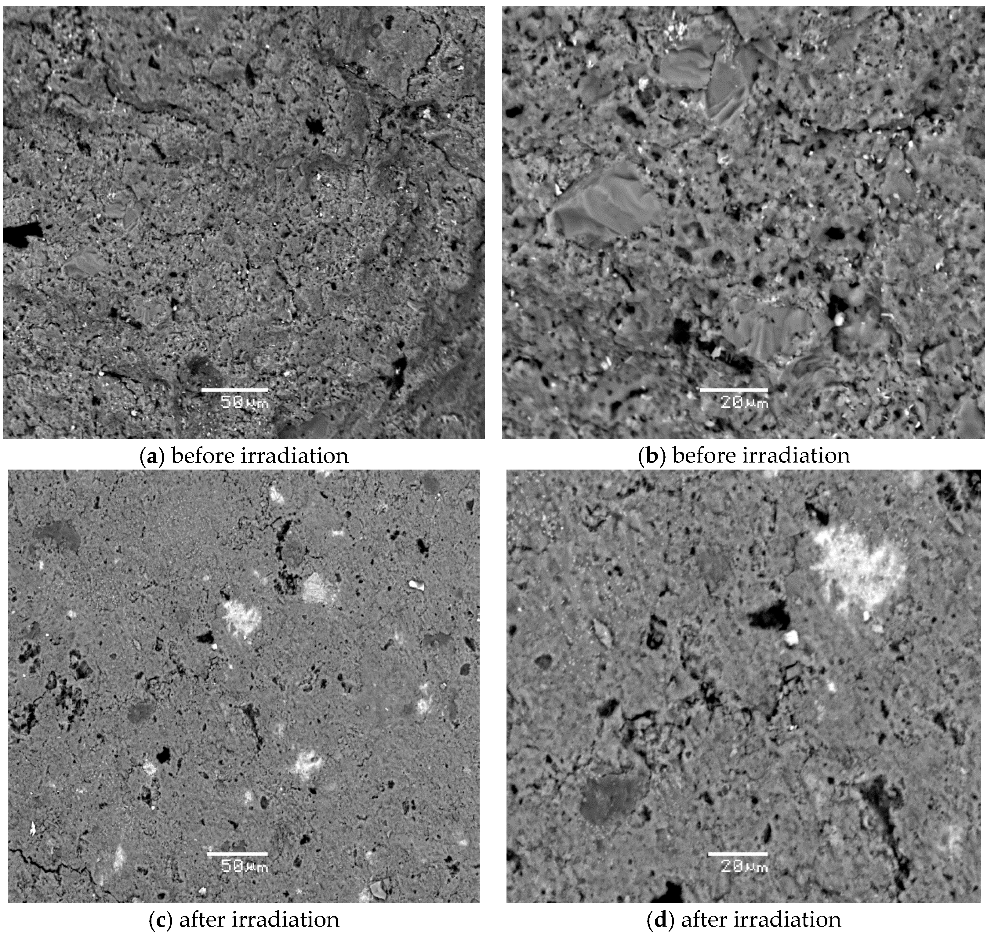 Sustainability 13 10780 g013