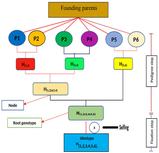Recent Advances in Rice Varietal Development for Durable