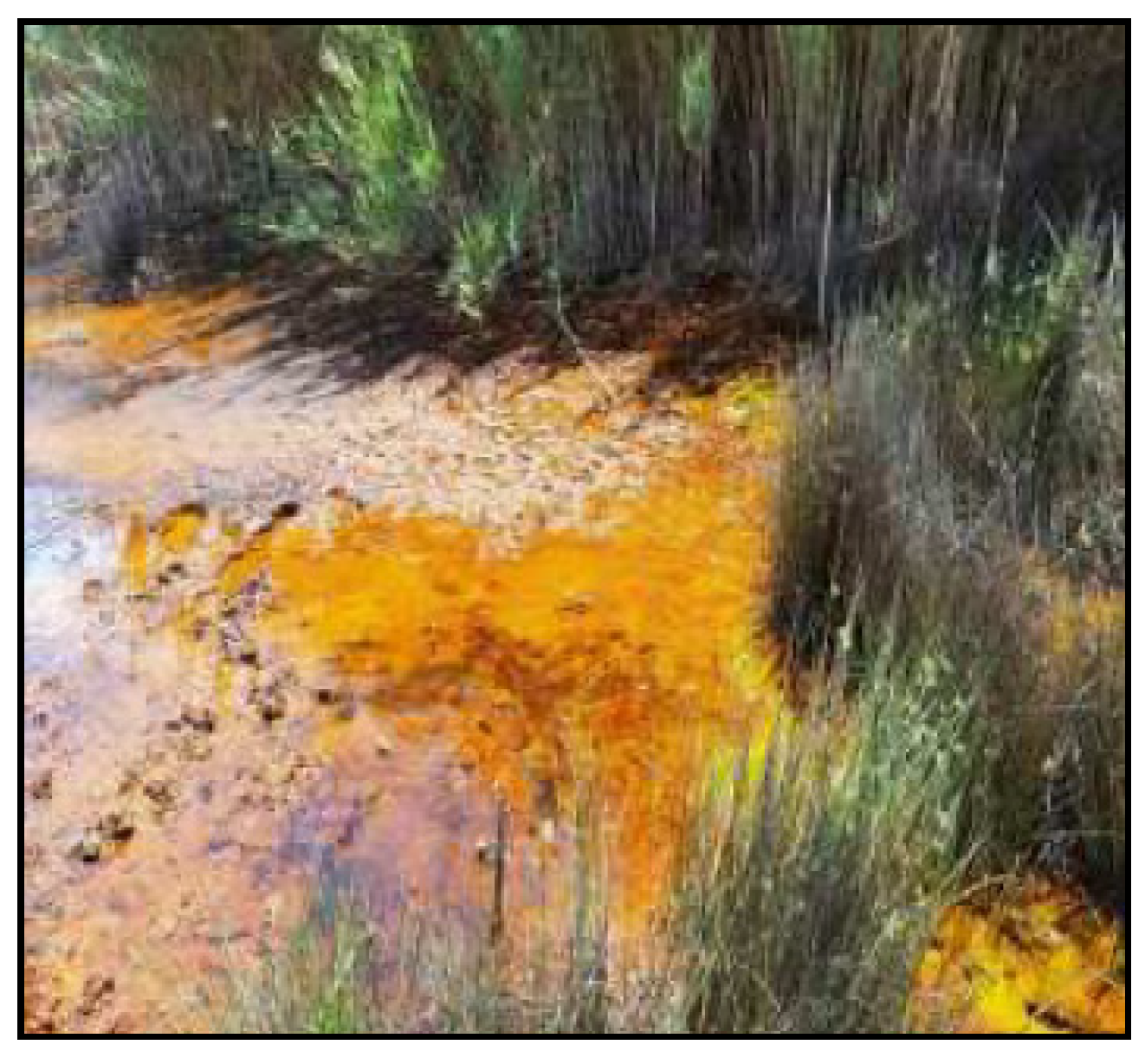 Sustainability 13 10847 g001