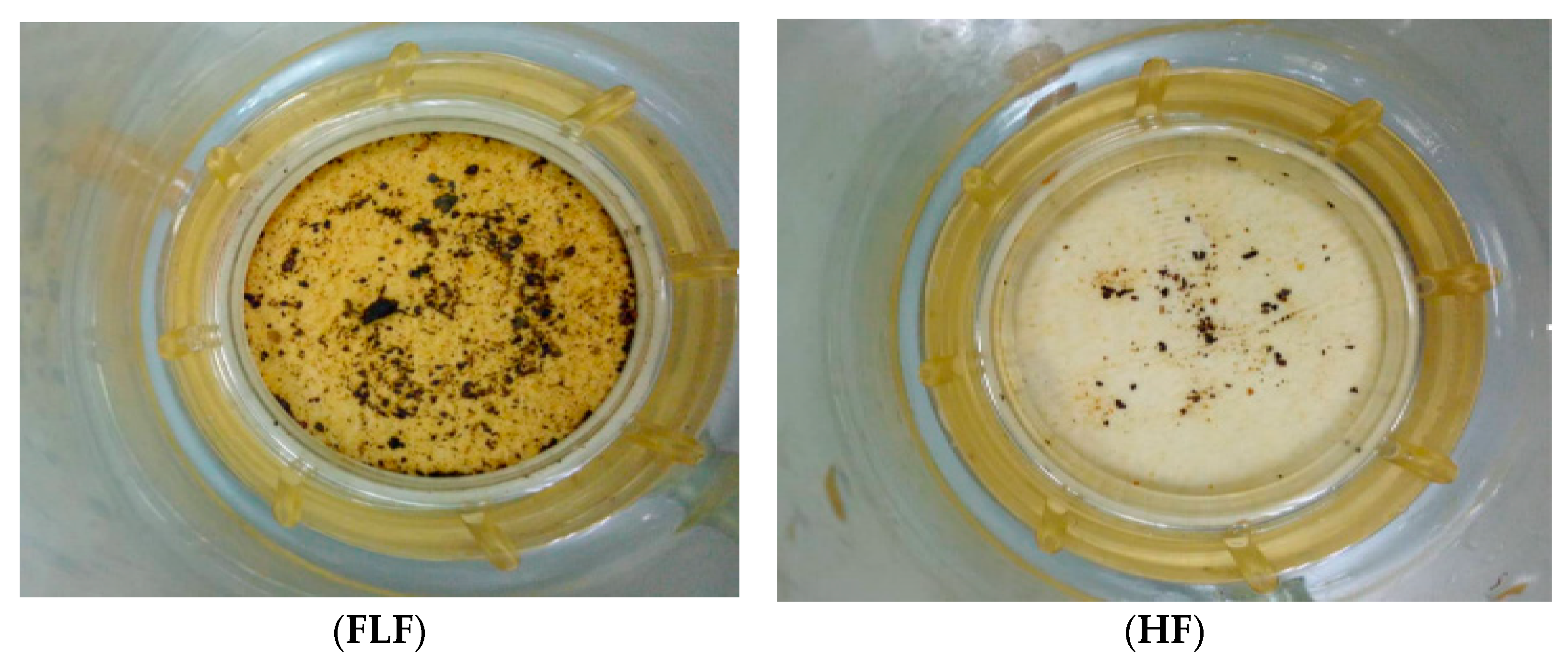 Sustainability 13 10869 g004