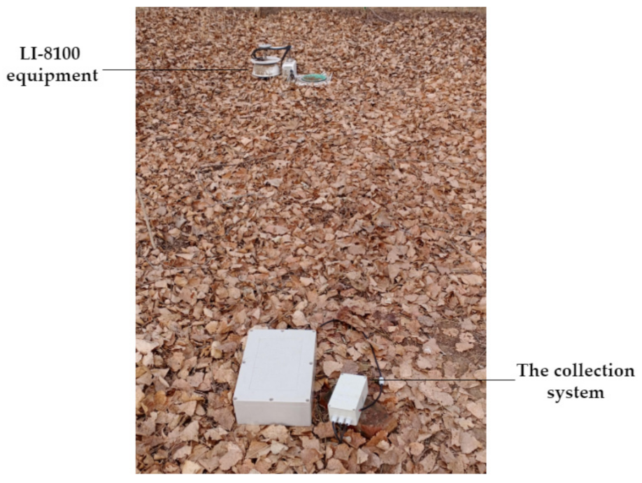 Sustainability 13 10874 g004 550