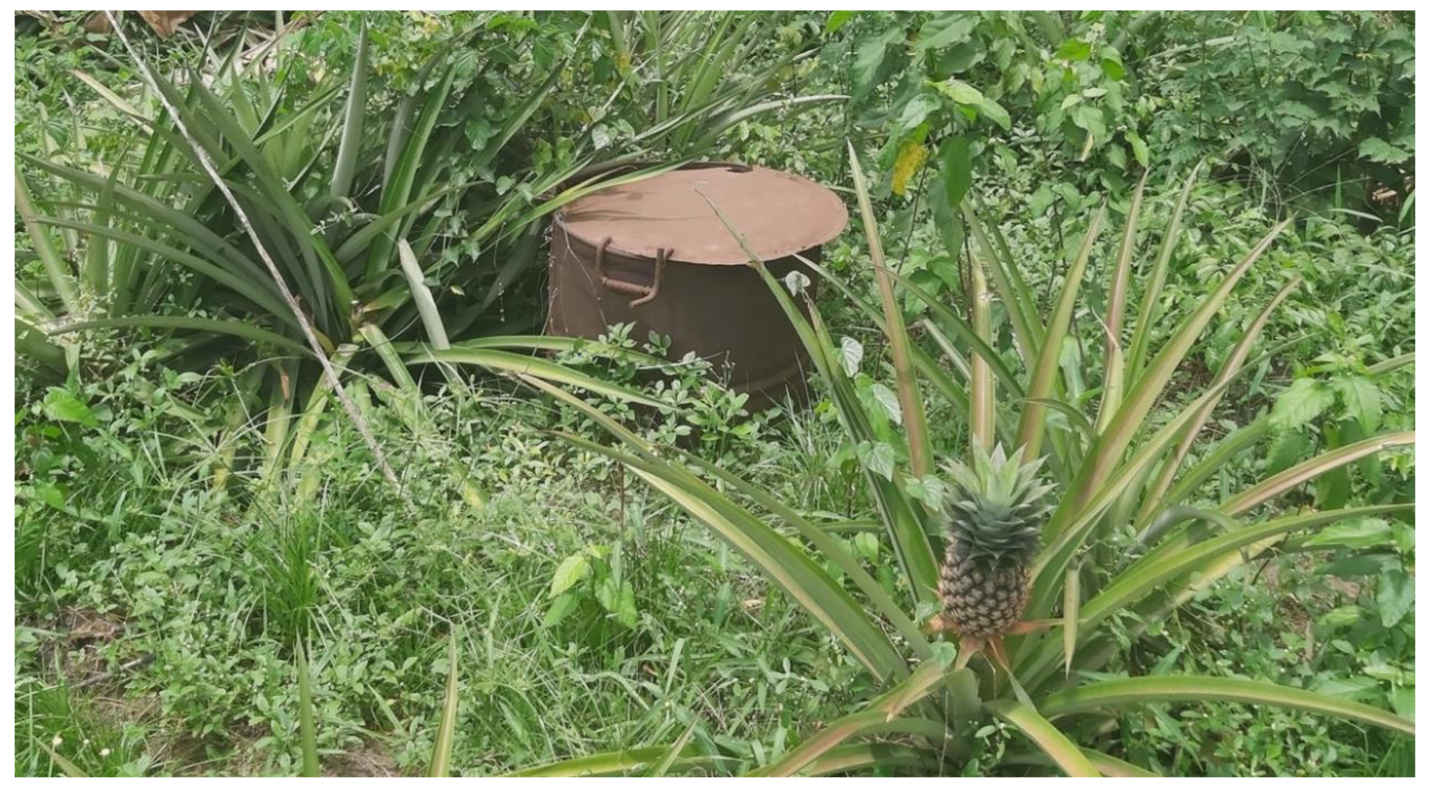 Sustainability 13 10914 g011 550