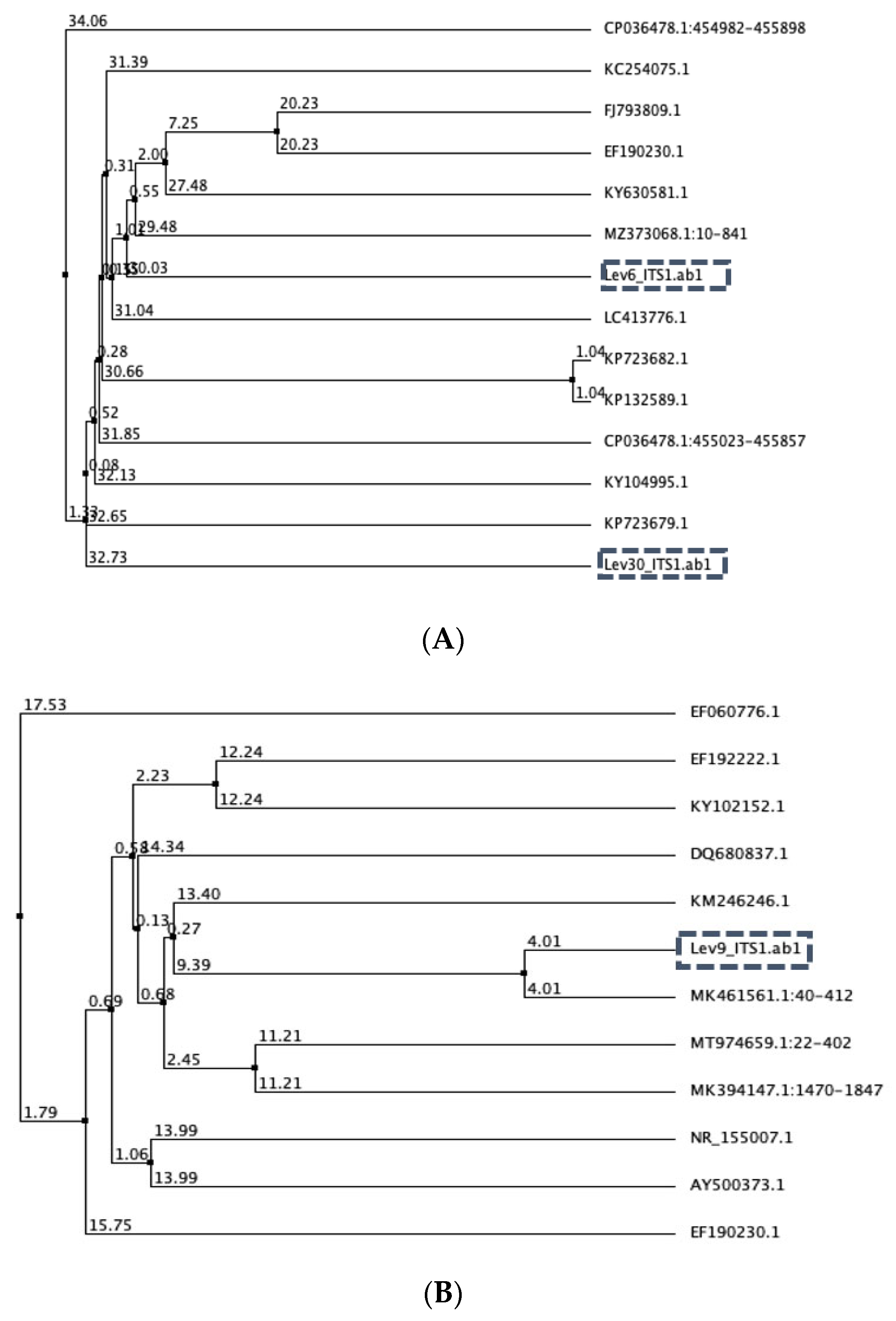 Sustainability 13 10924 g001 550