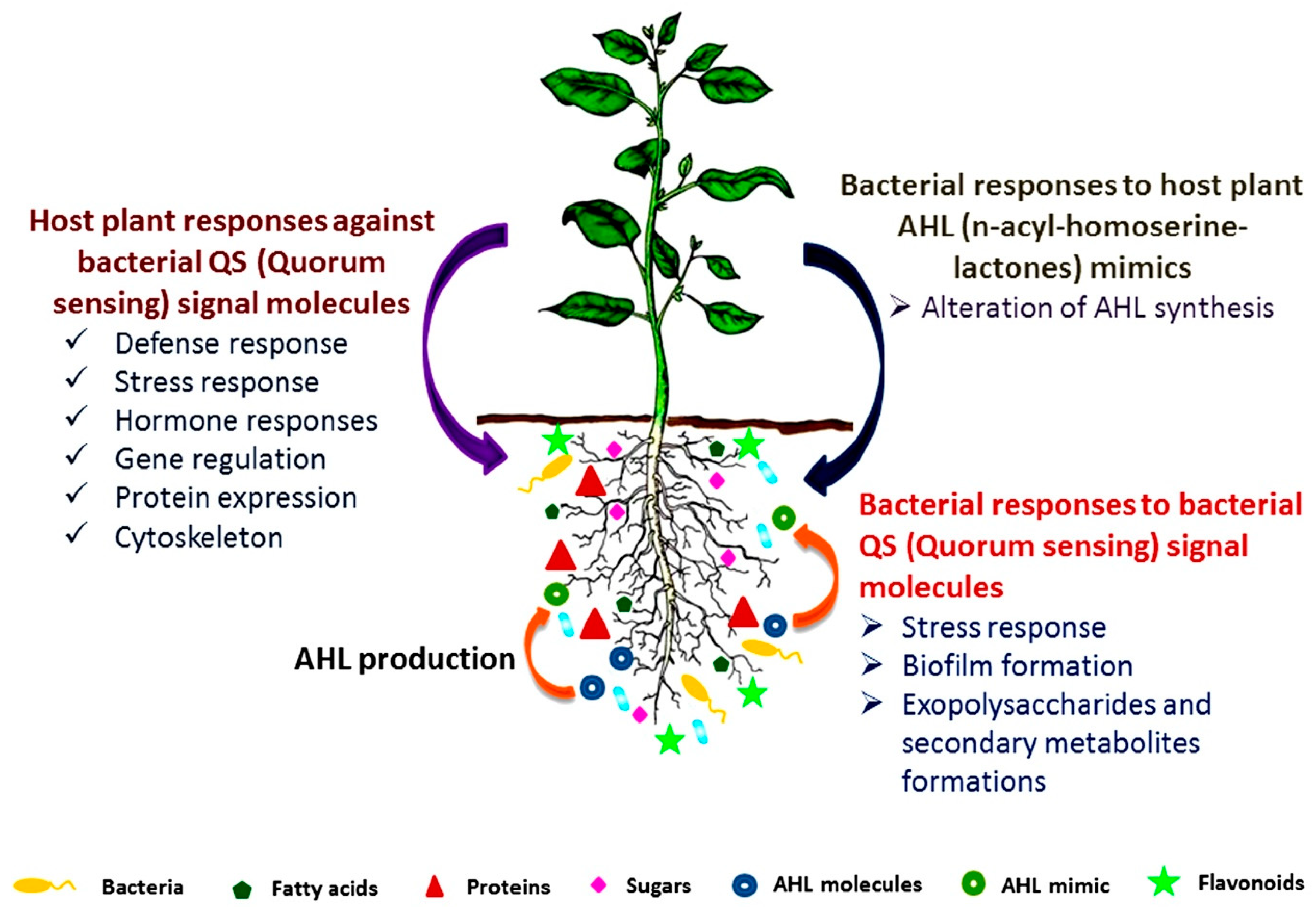 Sustainability 13 10986 g003