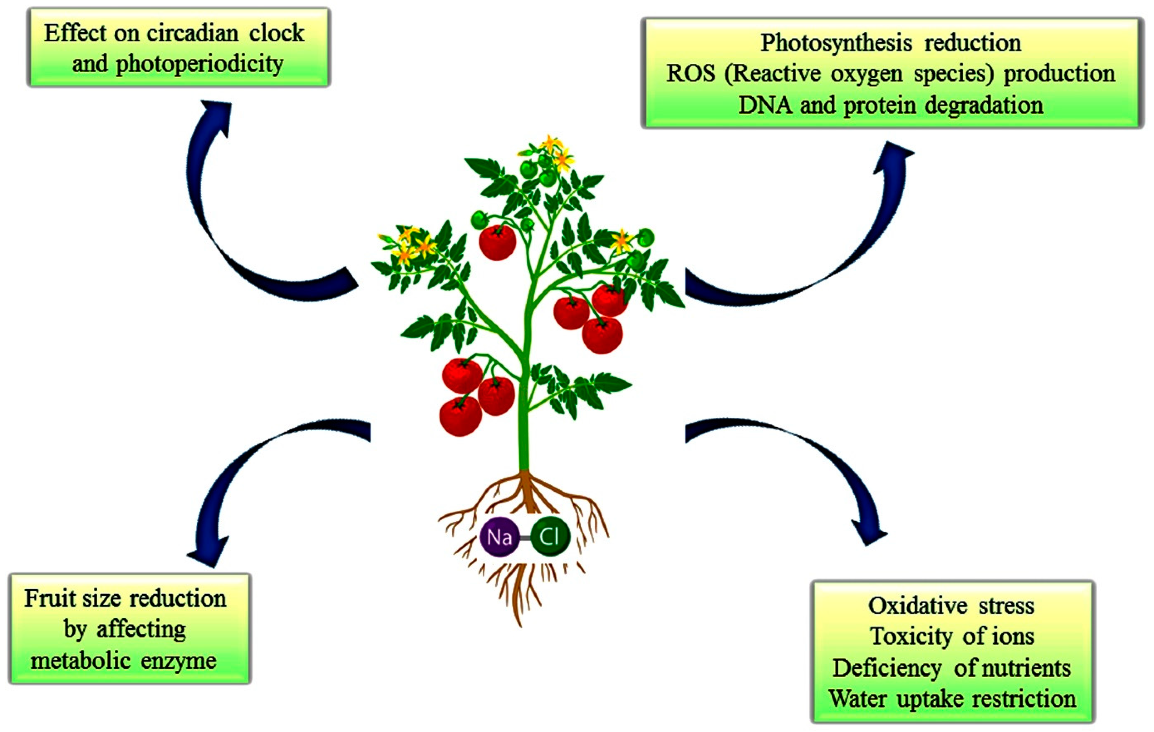 Sustainability 13 10986 g004