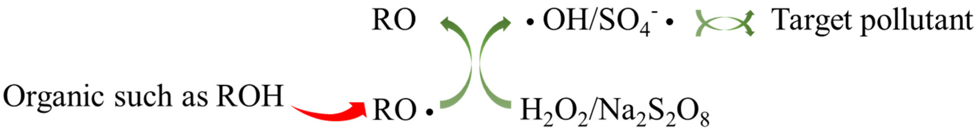 Sustainability 13 10993 g001