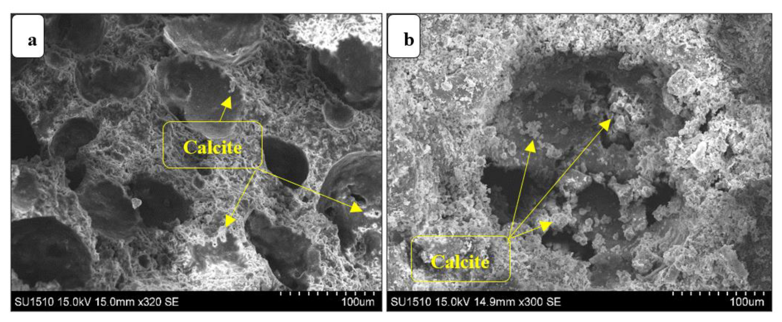 Sustainability 13 10999 g012 550